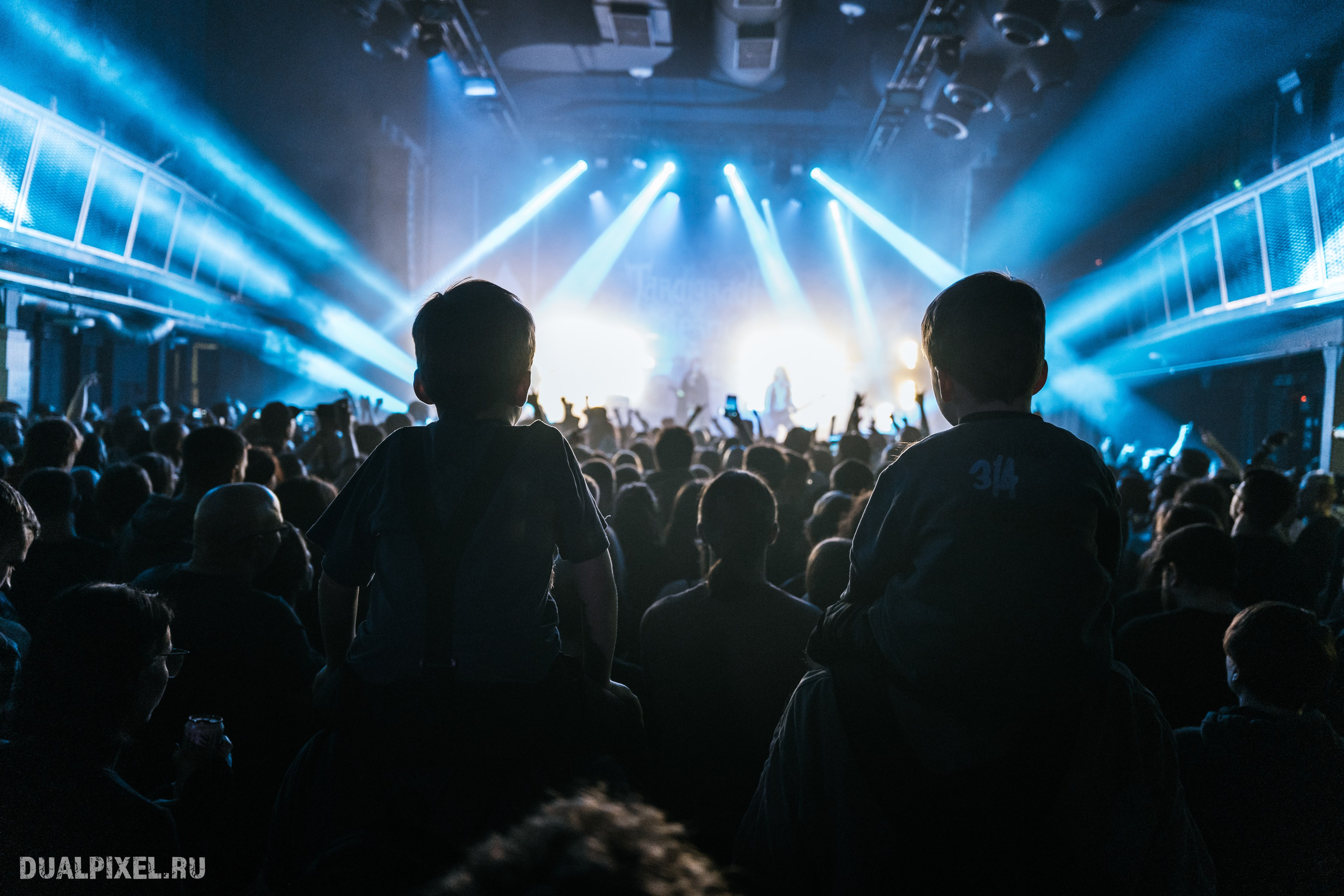 TARDIGRADE INFERNO. Магия музыки в кадре: Концертная Фотография