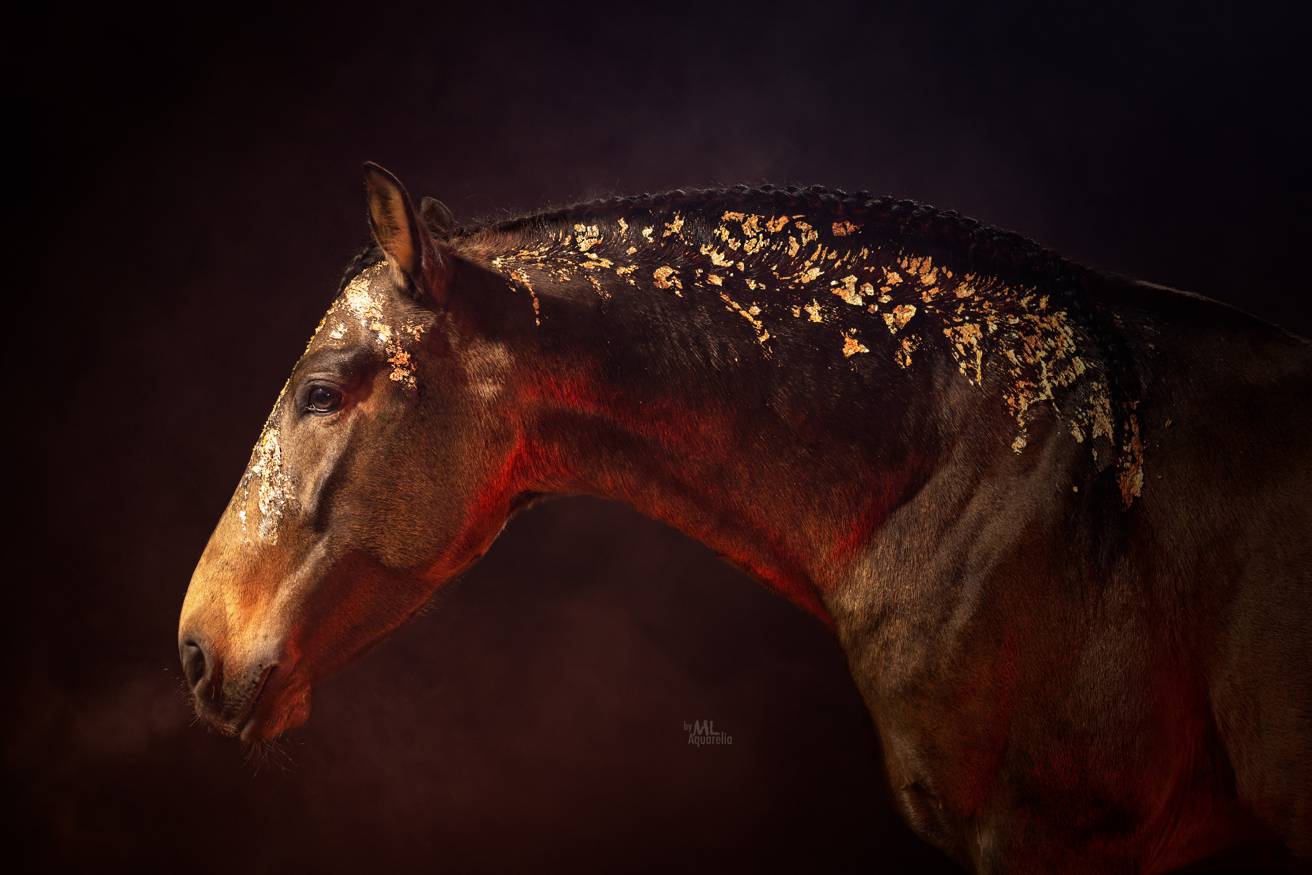 Конные фотосессии с использованием студийного оборудования. Mrs.Aquarelia Конный фотограф Марианна Леонтьева