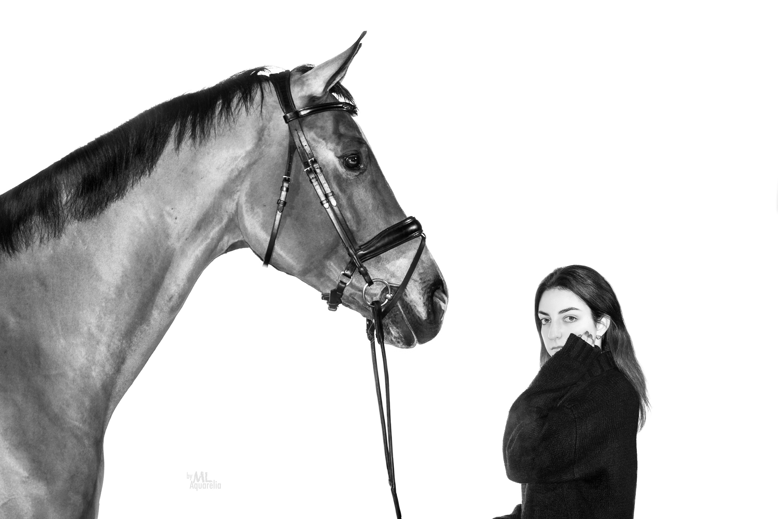 Конные фотосессии с использованием студийного оборудования. Mrs.Aquarelia Конный фотограф Марианна Леонтьева