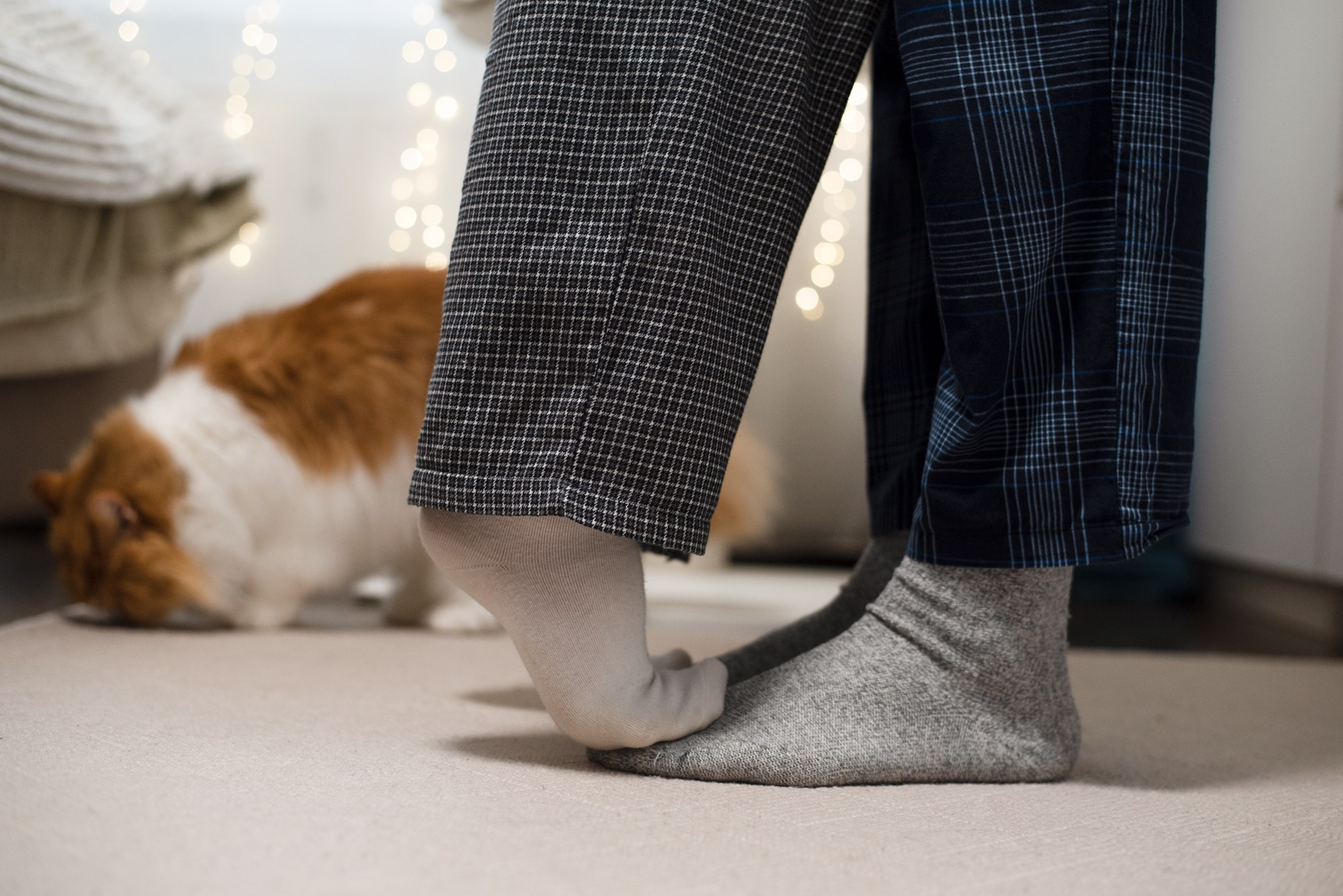 Портретная съемка, портрет девушки, фотография, фотограф спб, портретный фотограф спб, студийная съемка, съемка в студии, профессиональный фотограф, фотосессии дома, фотосессия с девушкой, домашние съемки, фотосессия с парнем, конная фотография, съемка с лошадью, lifestyle фотография, фотограф спб, питер фотограф, лавстори, лайфстайл