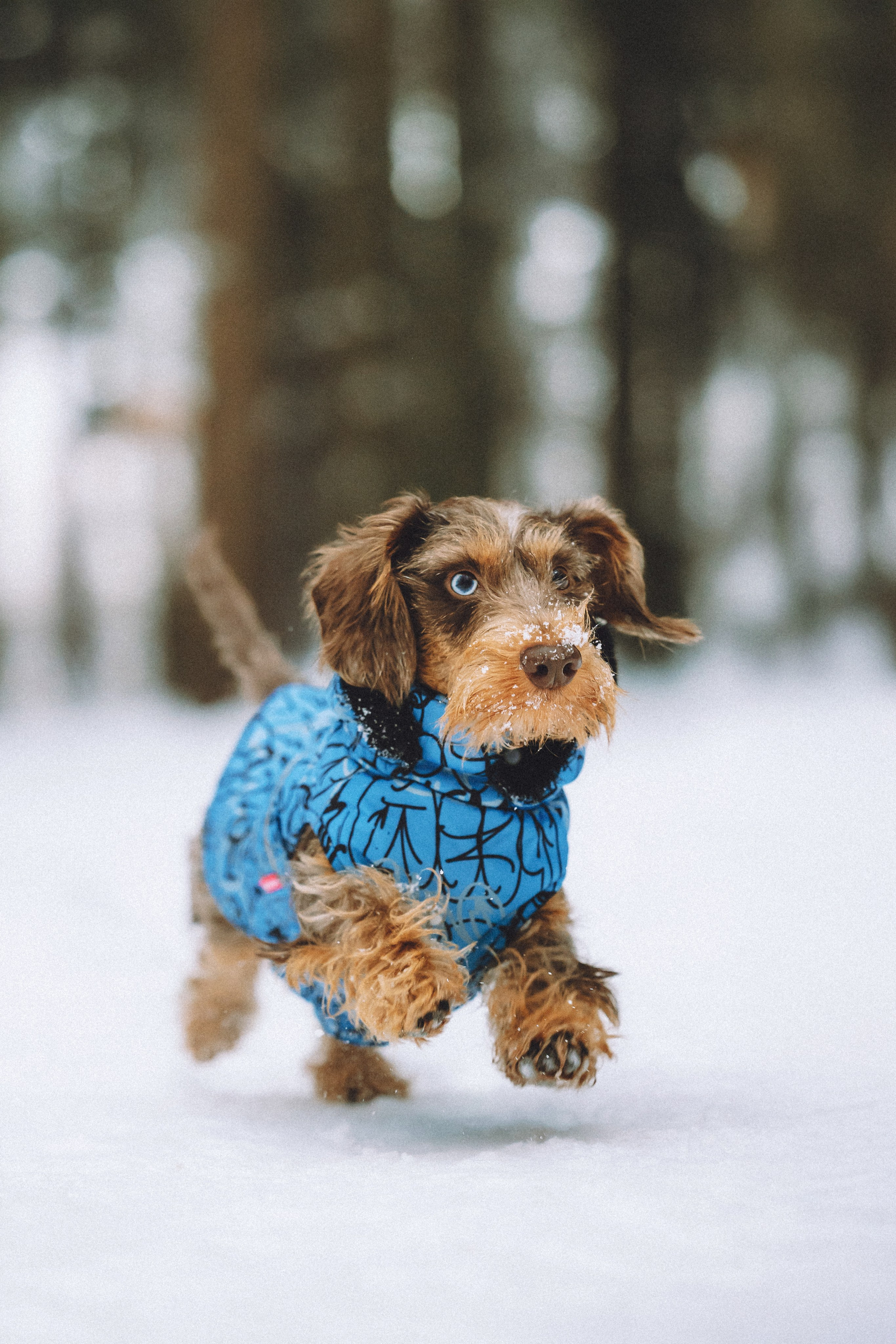 Каспер и его семья