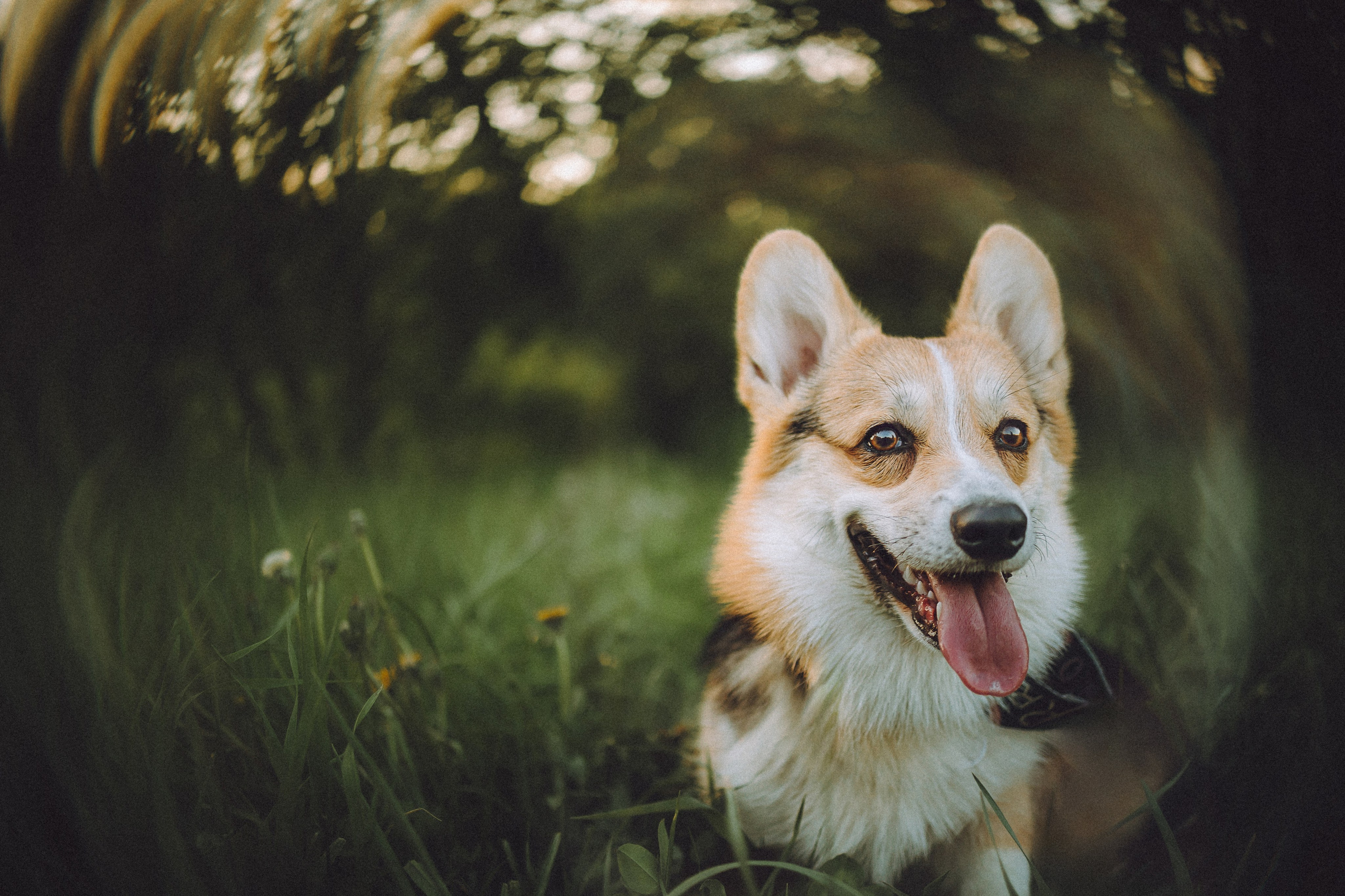 Илай, Зайка и их семья