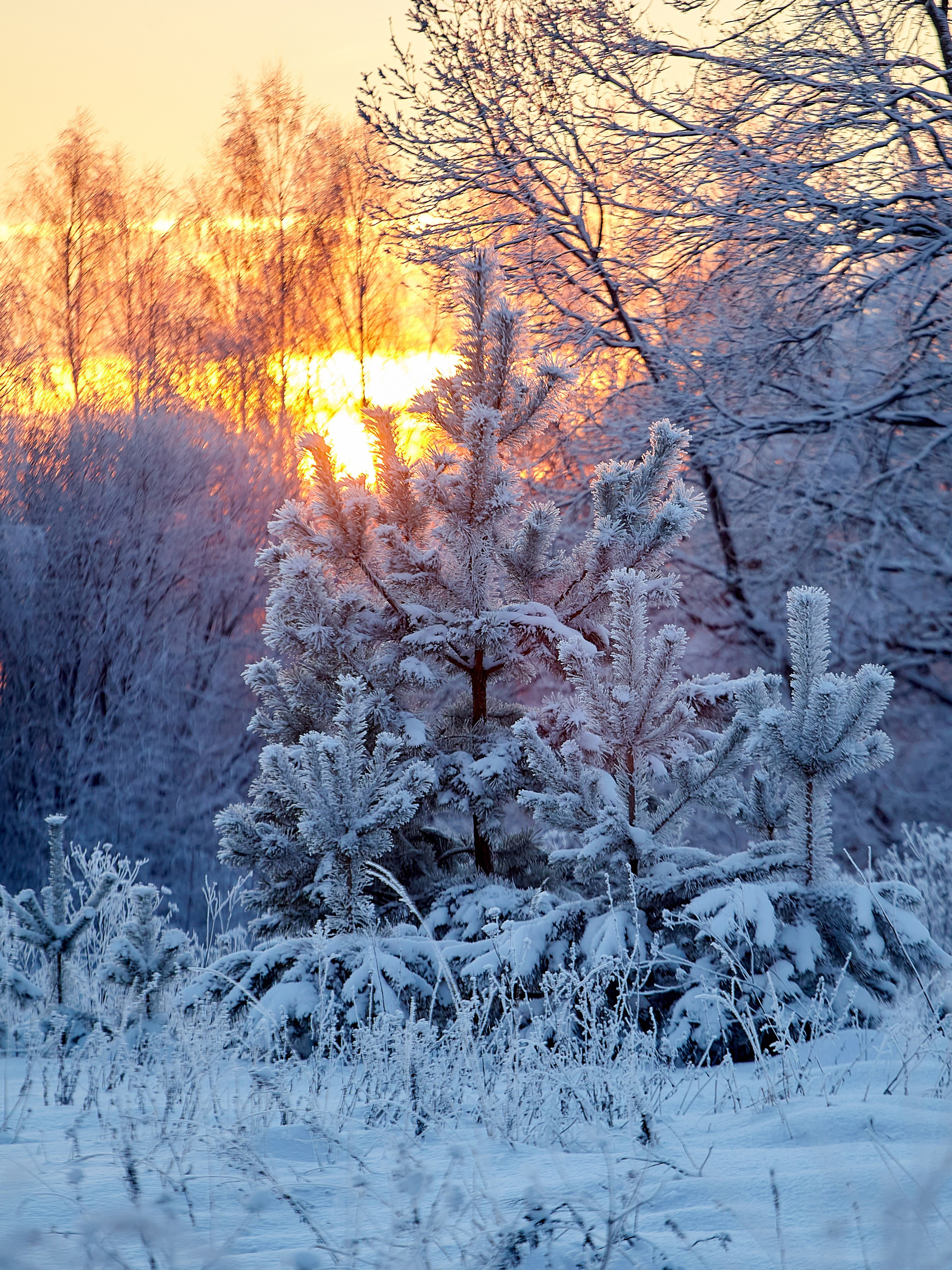 Фотографии природы