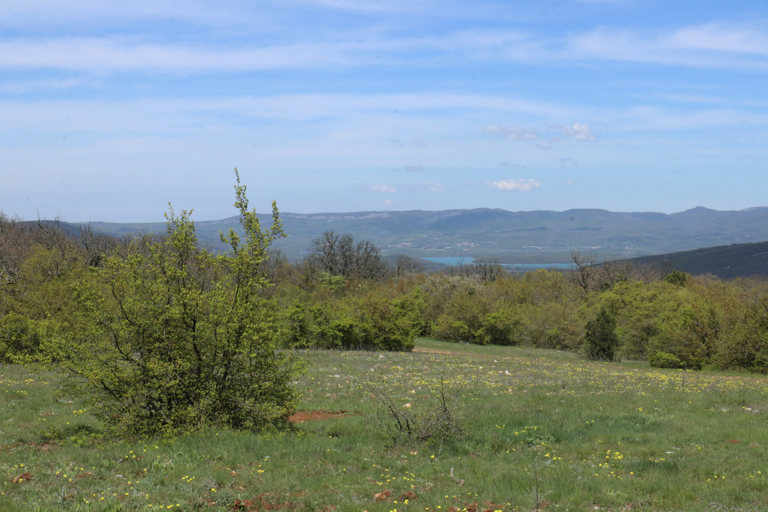 Крым. ЮБК (Севастополь, Кастрополь, Ялта). Май 2023. Путешественник-фотограф из Санкт-Петербурга Татьяна Свистулина