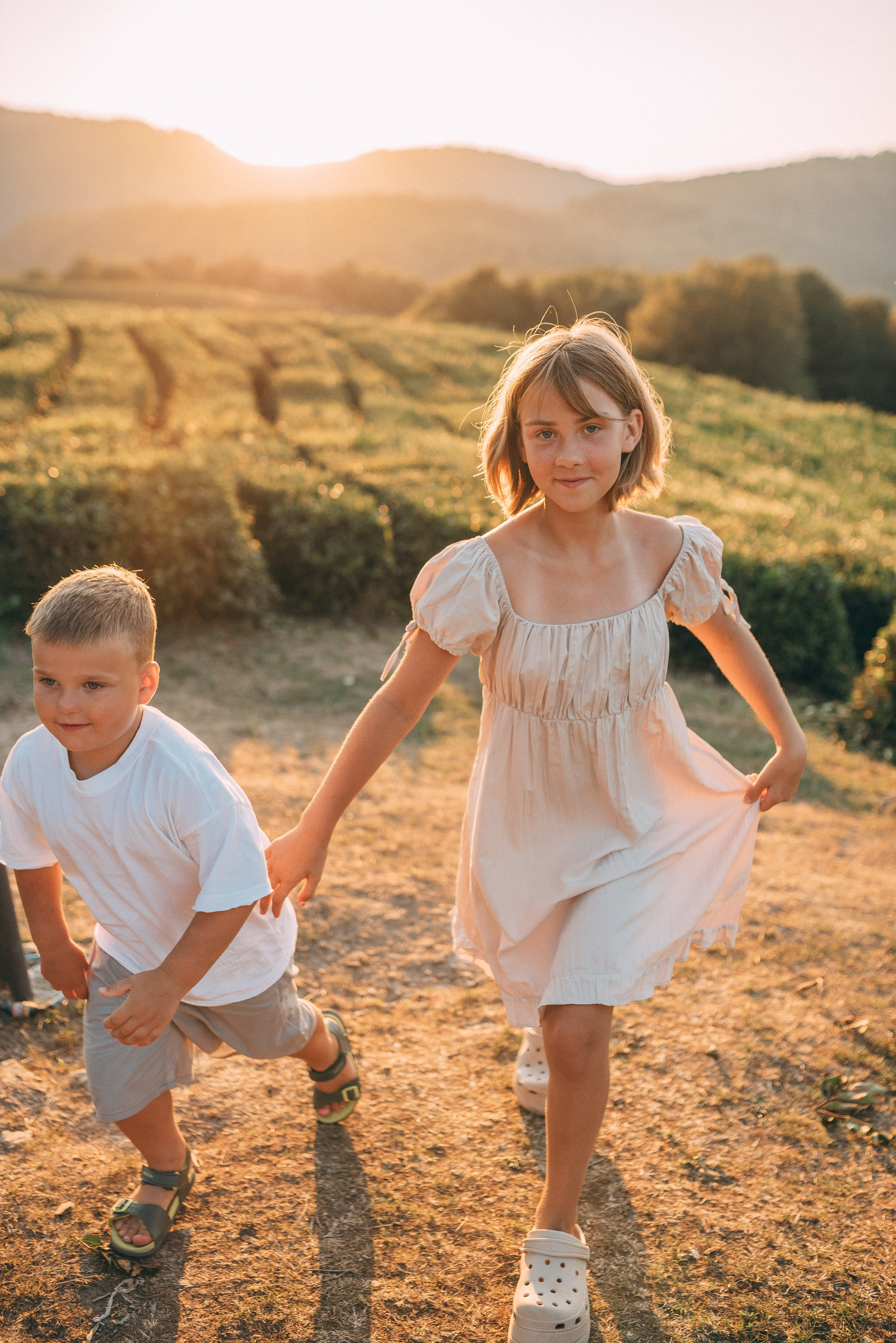 Чайные плантации 🌿✨. Фотограф в Сочи — Маргарита Поганова