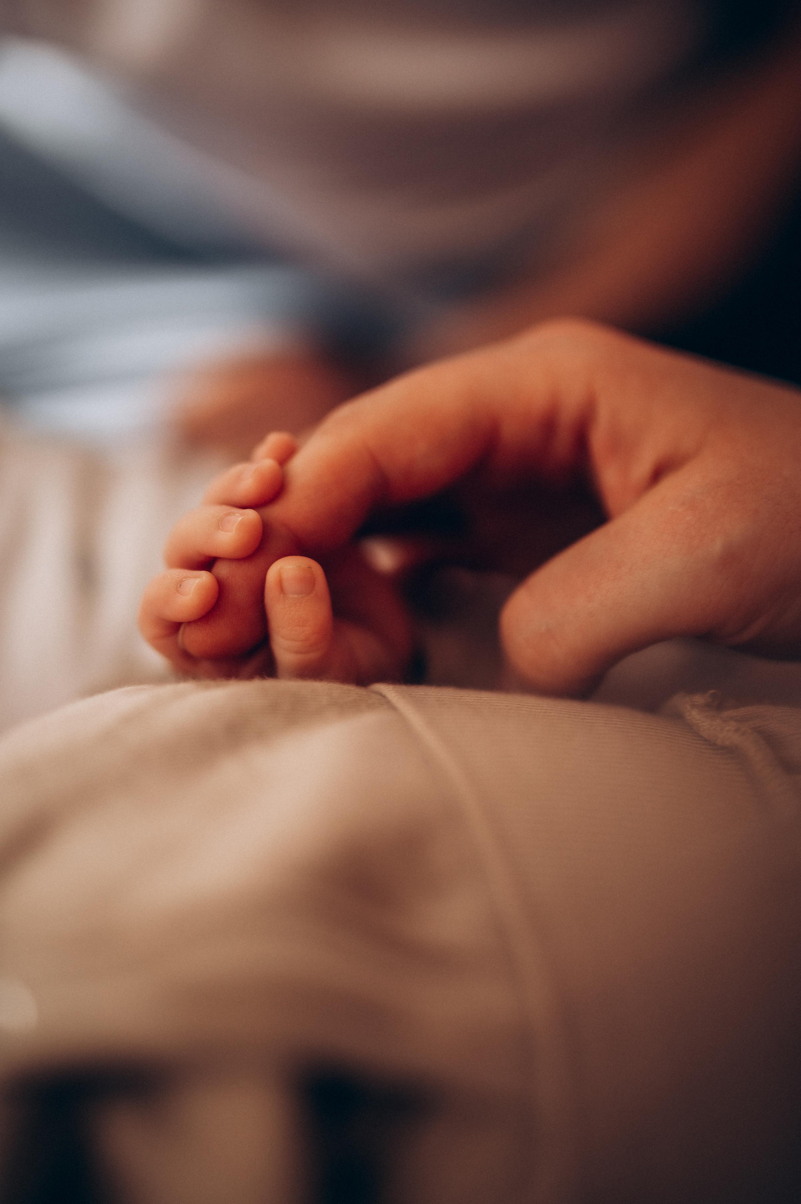 Нью-борн. Фотограф ПИТЕР СПБ Надежда Баранова