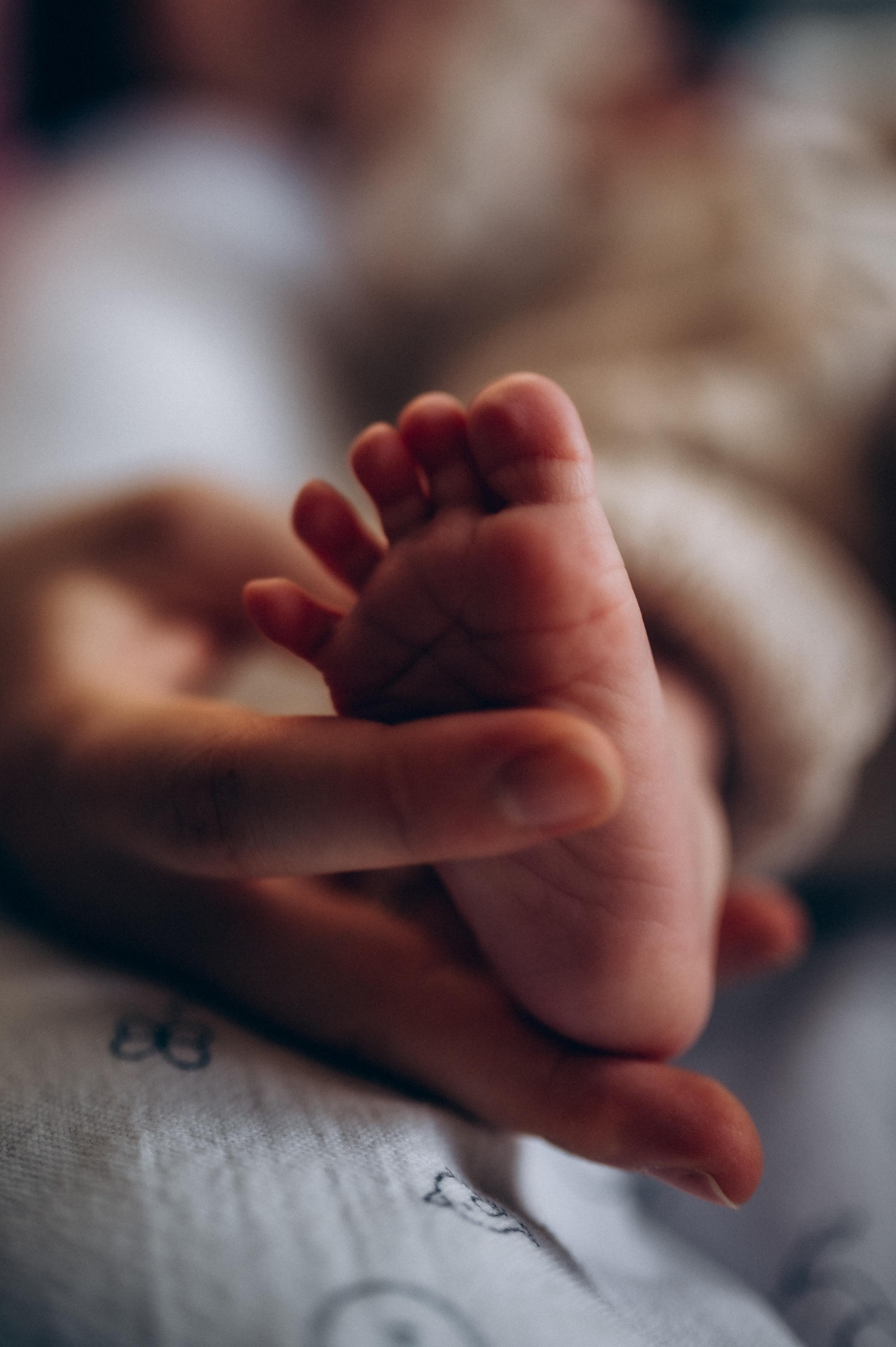 Нью-борн. Фотограф ПИТЕР СПБ Надежда Баранова