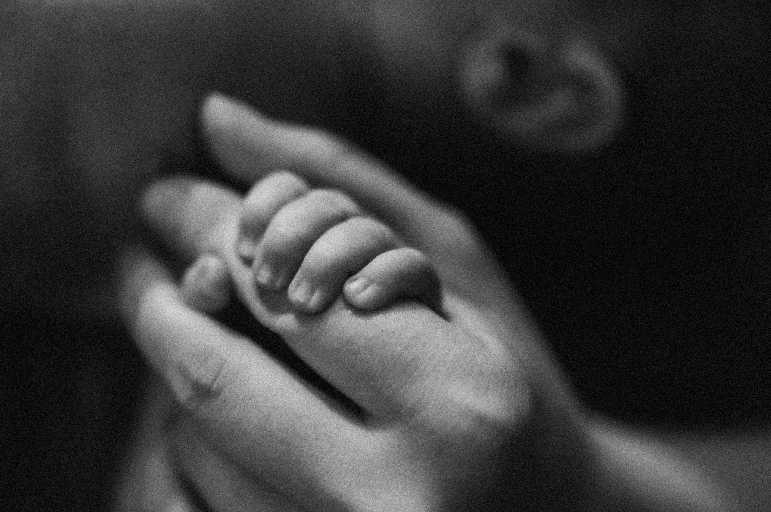 Нью-борн. Фотограф ПИТЕР СПБ Надежда Баранова