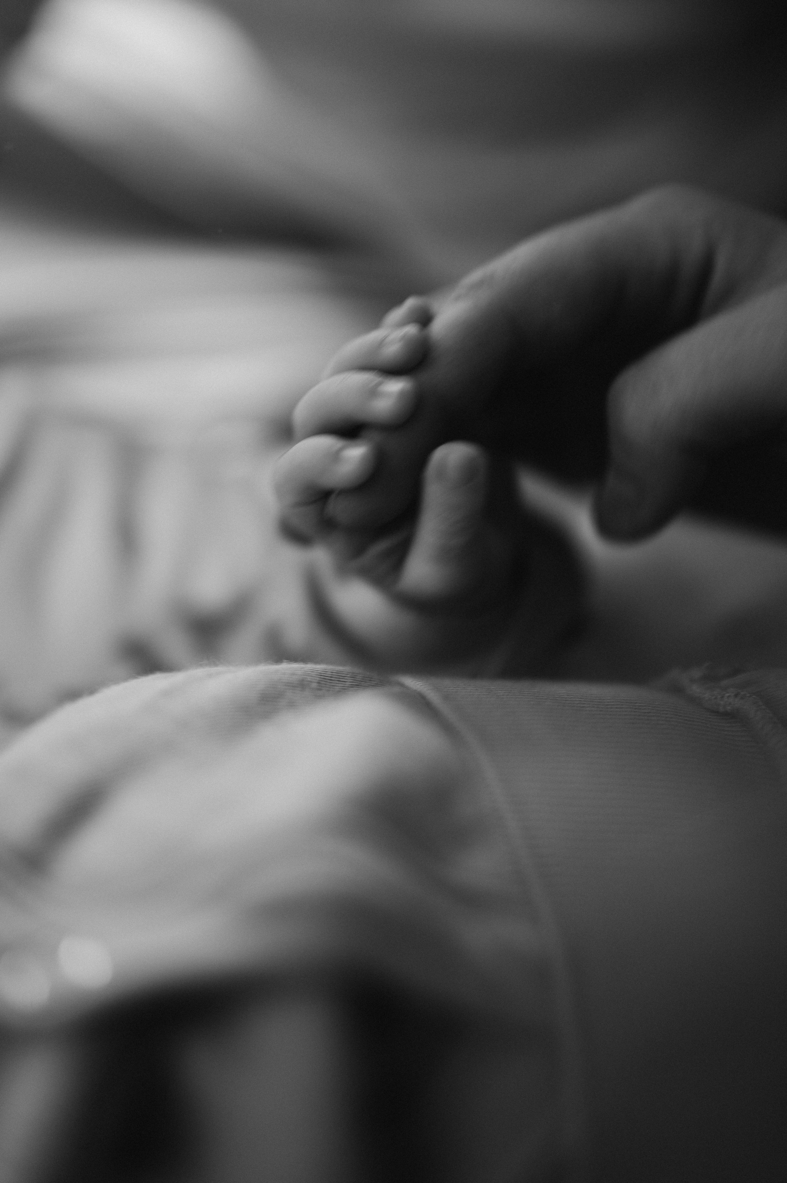 Нью-борн. Фотограф ПИТЕР СПБ Надежда Баранова