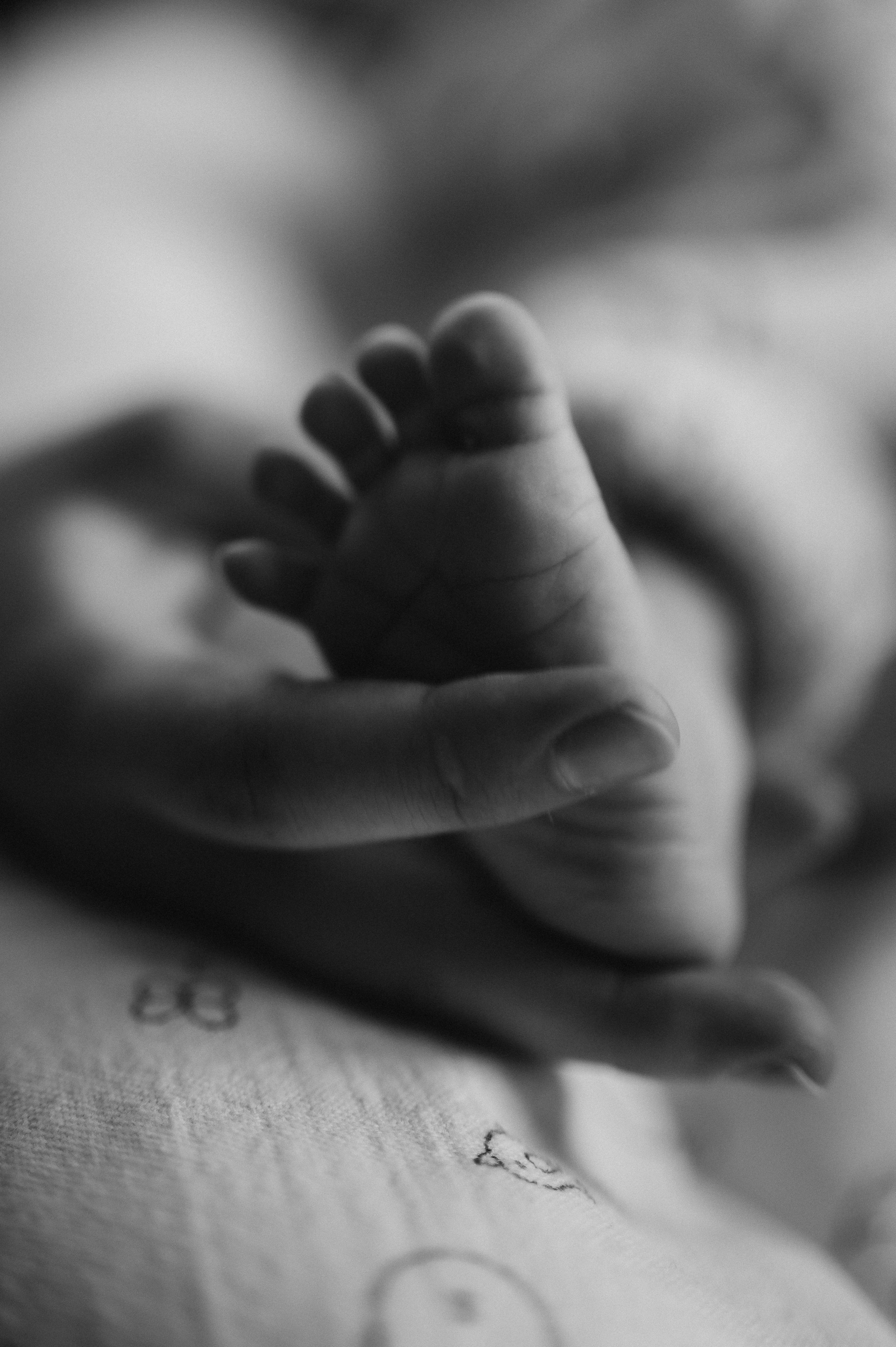 Нью-борн. Фотограф ПИТЕР СПБ Надежда Баранова