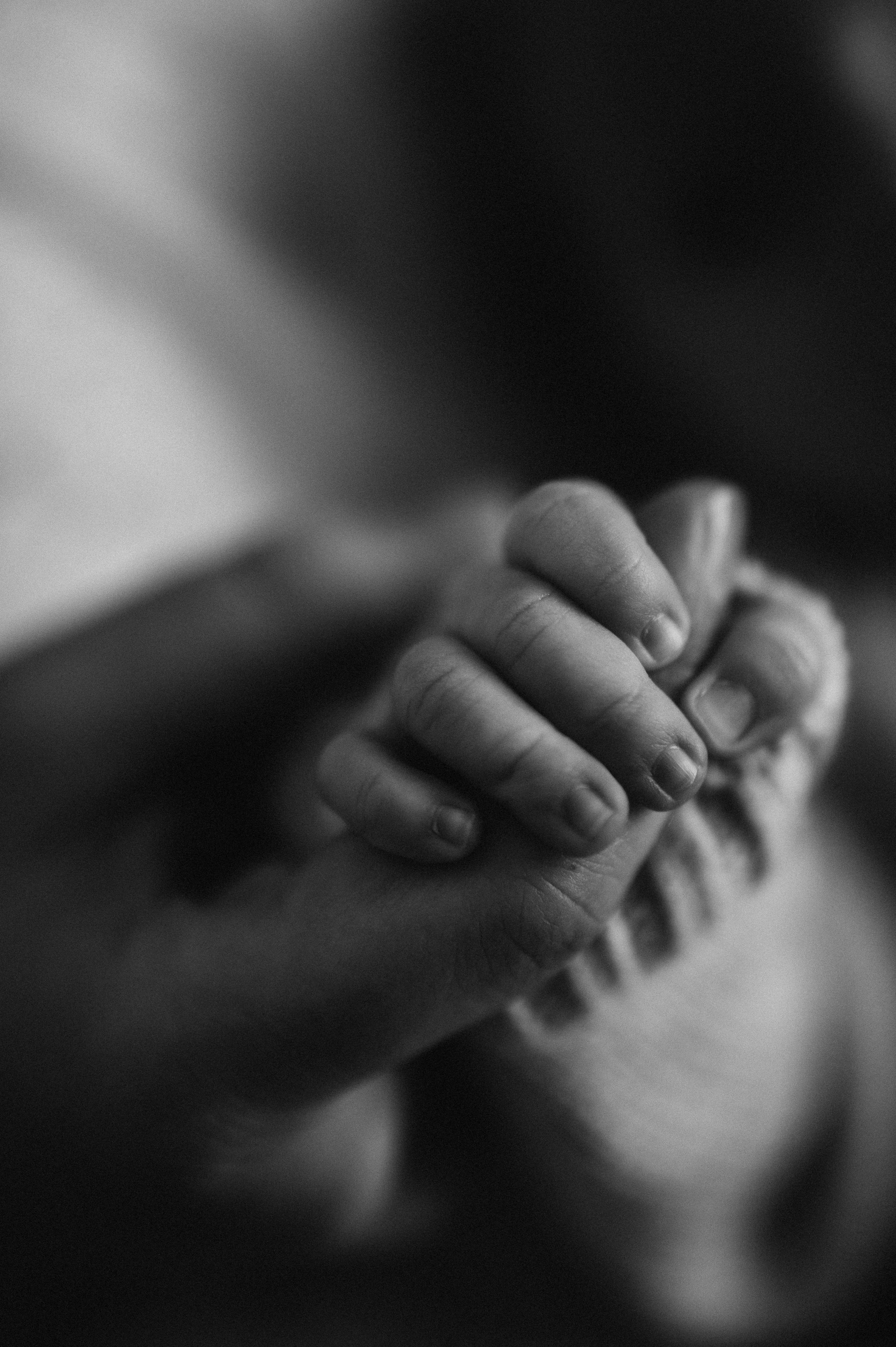 Нью-борн. Фотограф ПИТЕР СПБ Надежда Баранова