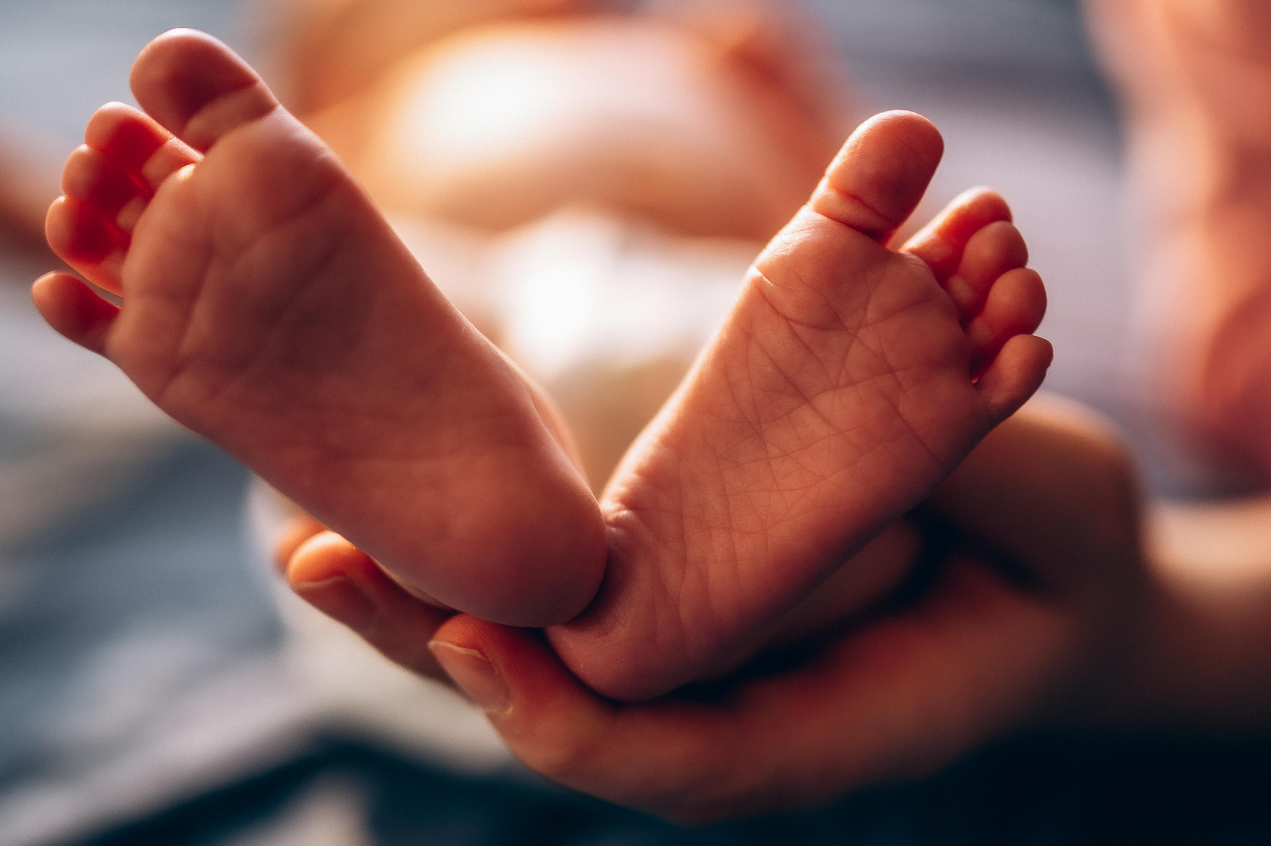 Нью-борн. Фотограф ПИТЕР СПБ Надежда Баранова