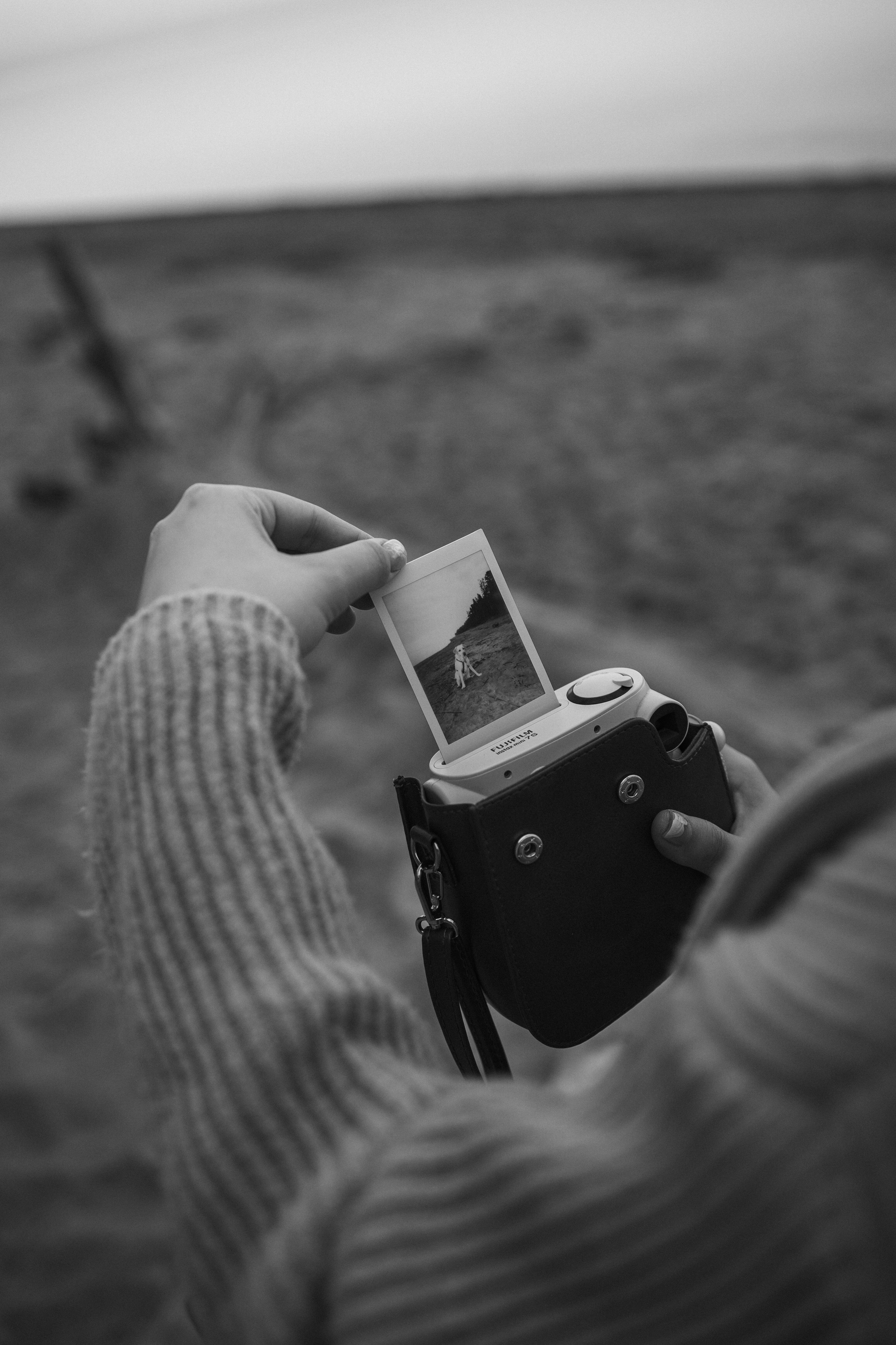 Наташа и Шани. Фотограф — Анималист | Санкт-Петербург