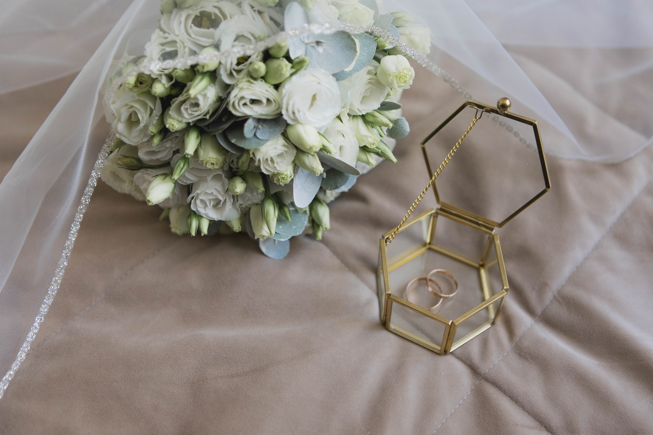 Дмитрий & Елизавета