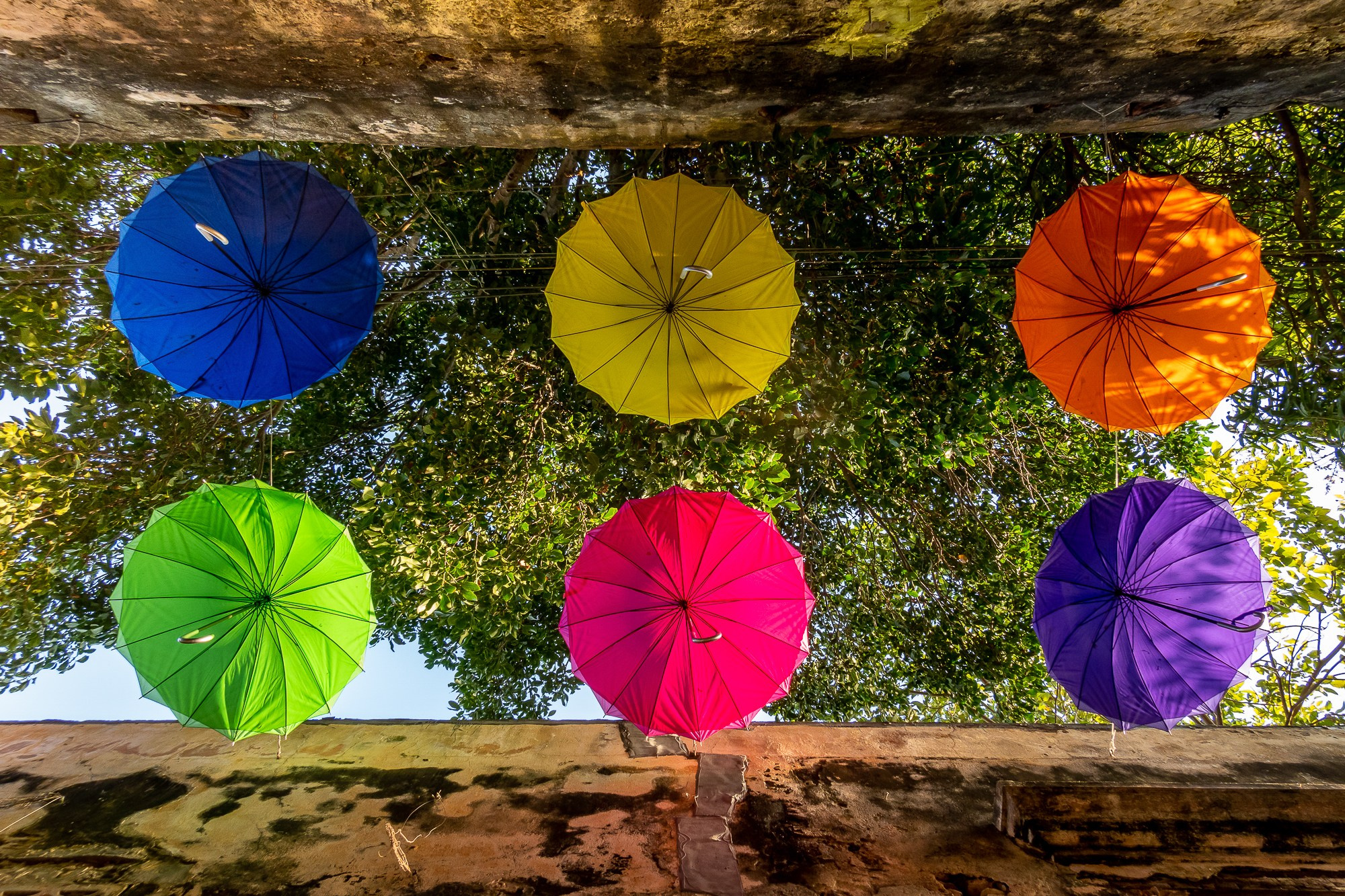 Алексей Скоробогатько, фотограф  г. Картахена, Колумбия. Alexey Skorobogatko, photographer, Cartagena, Colombia. Фотограф Алексей Скоробогатько