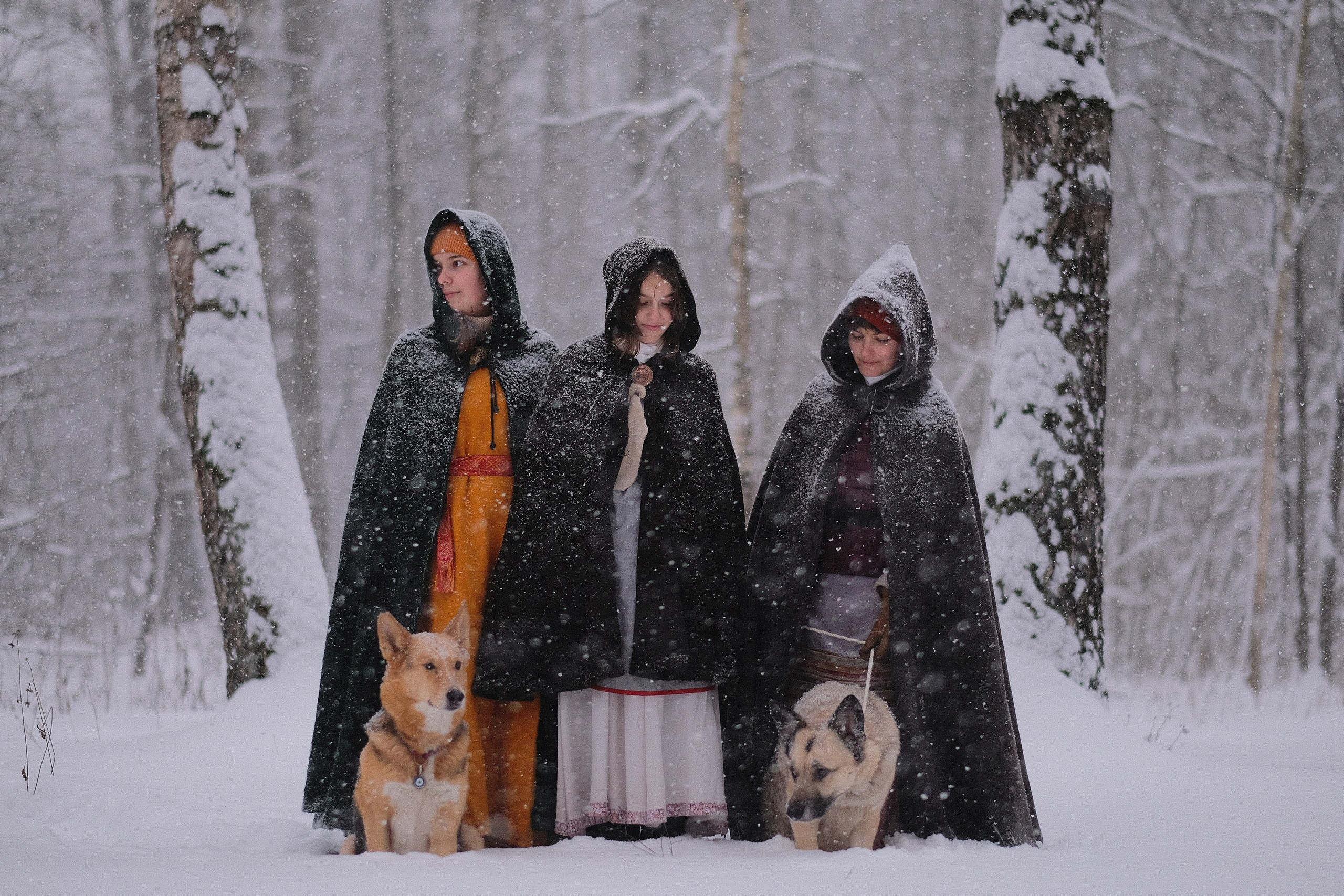 Дмитрий Бречалов