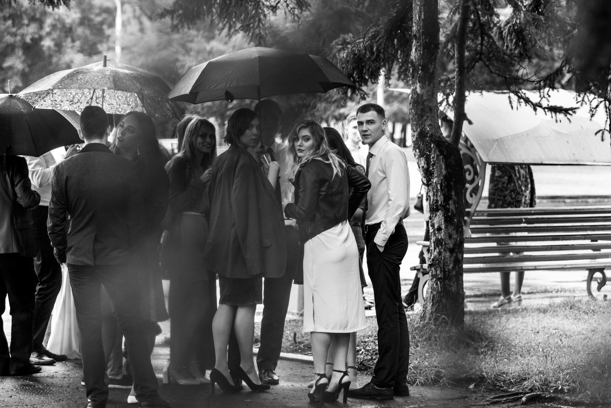 Anatoly & Daria — Wedding. Wedding & portrait photographer Sergey Lazarenko