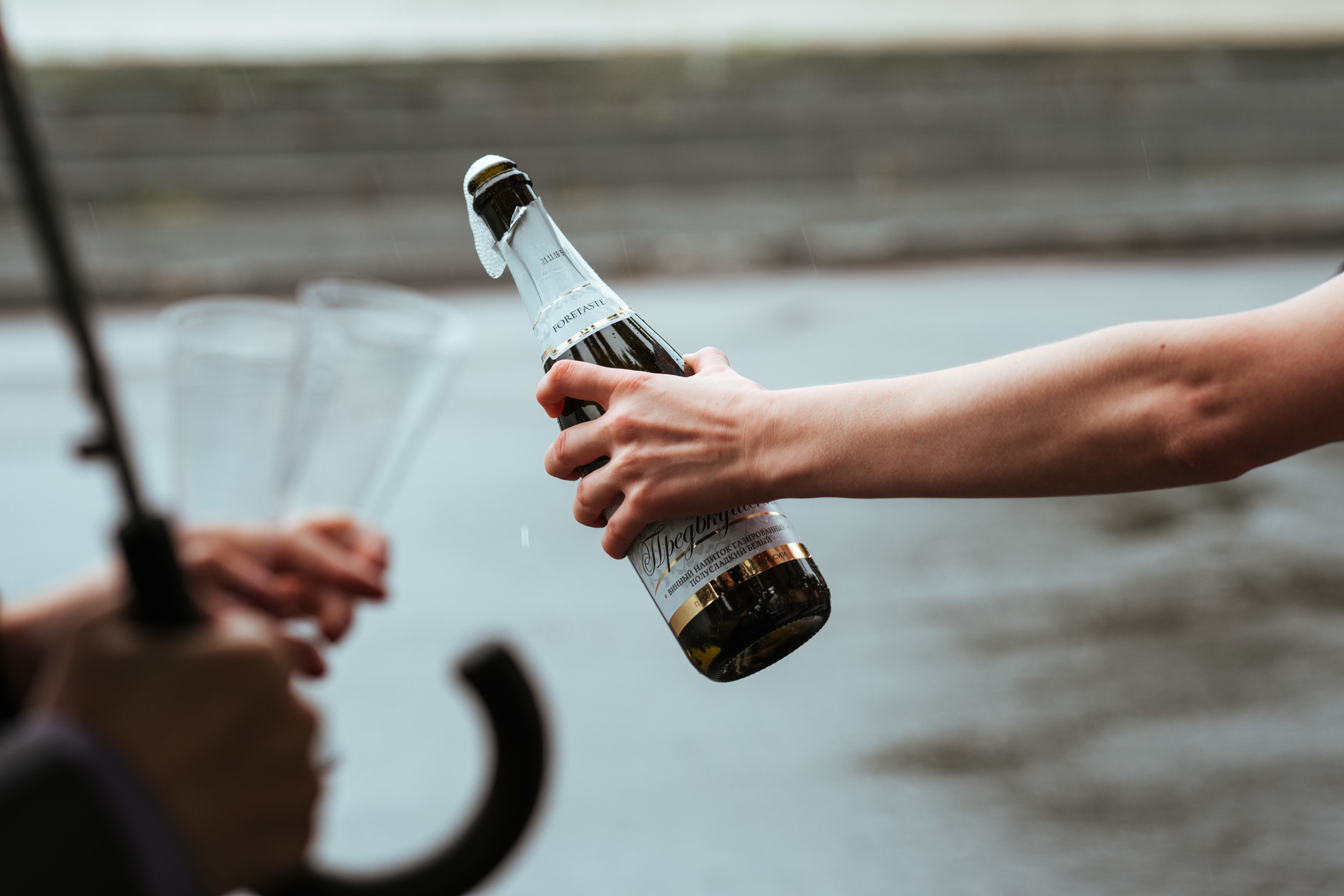 Anatoly & Daria — Wedding. Wedding & portrait photographer Sergey Lazarenko