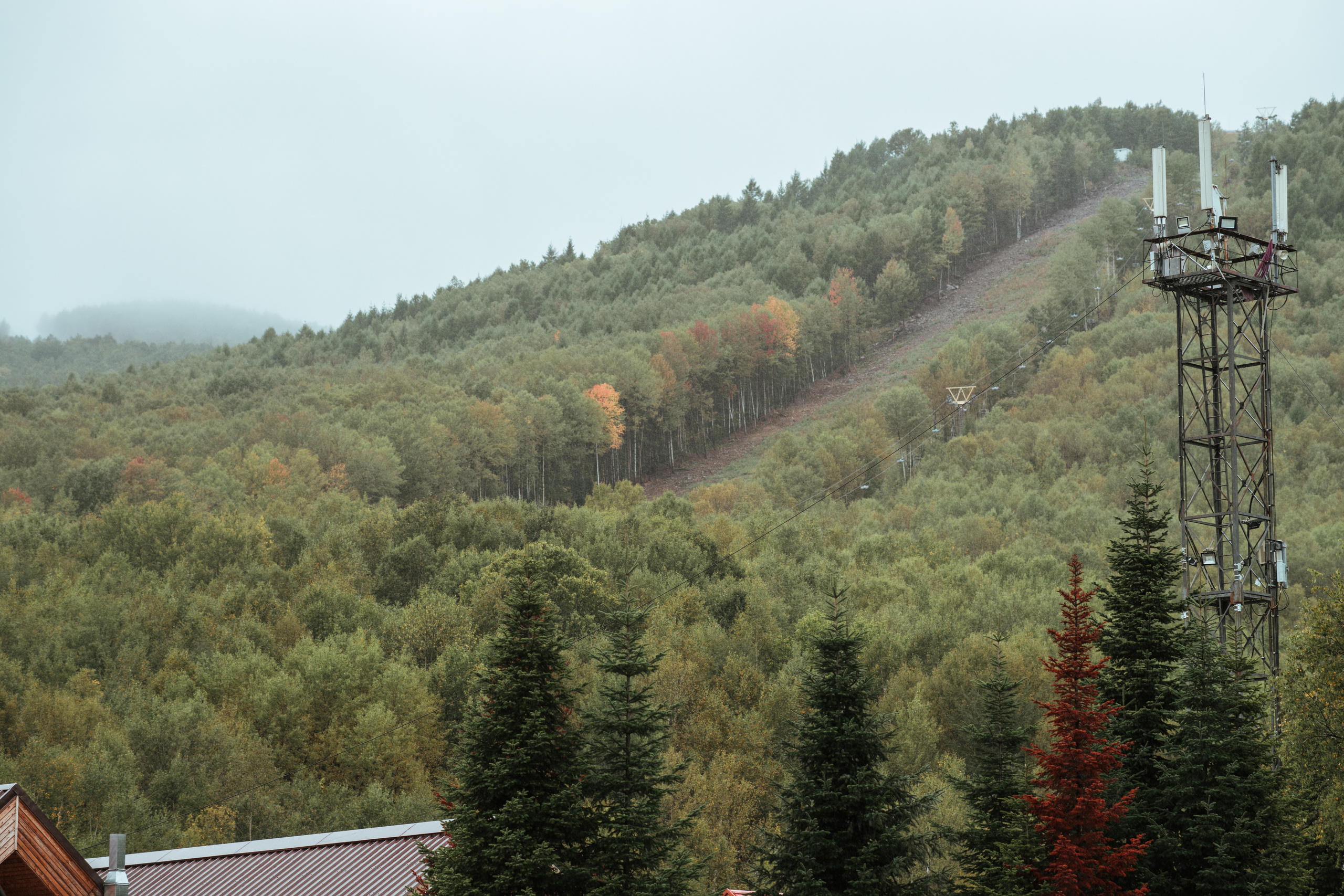 Anatoly & Daria — Wedding. Wedding & portrait photographer Sergey Lazarenko