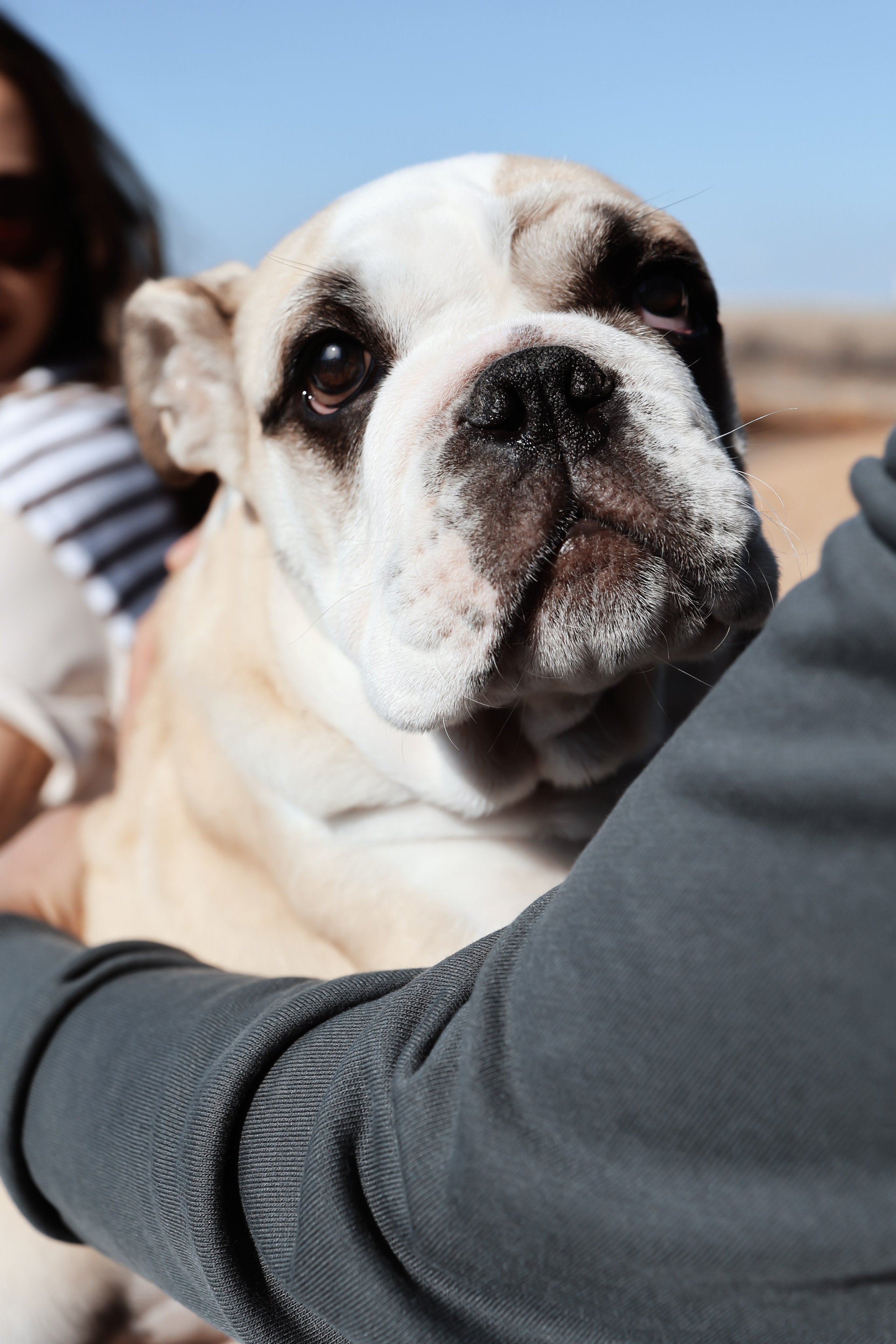 Новый член семьи. Withlovent | Фотограф в Севастополе