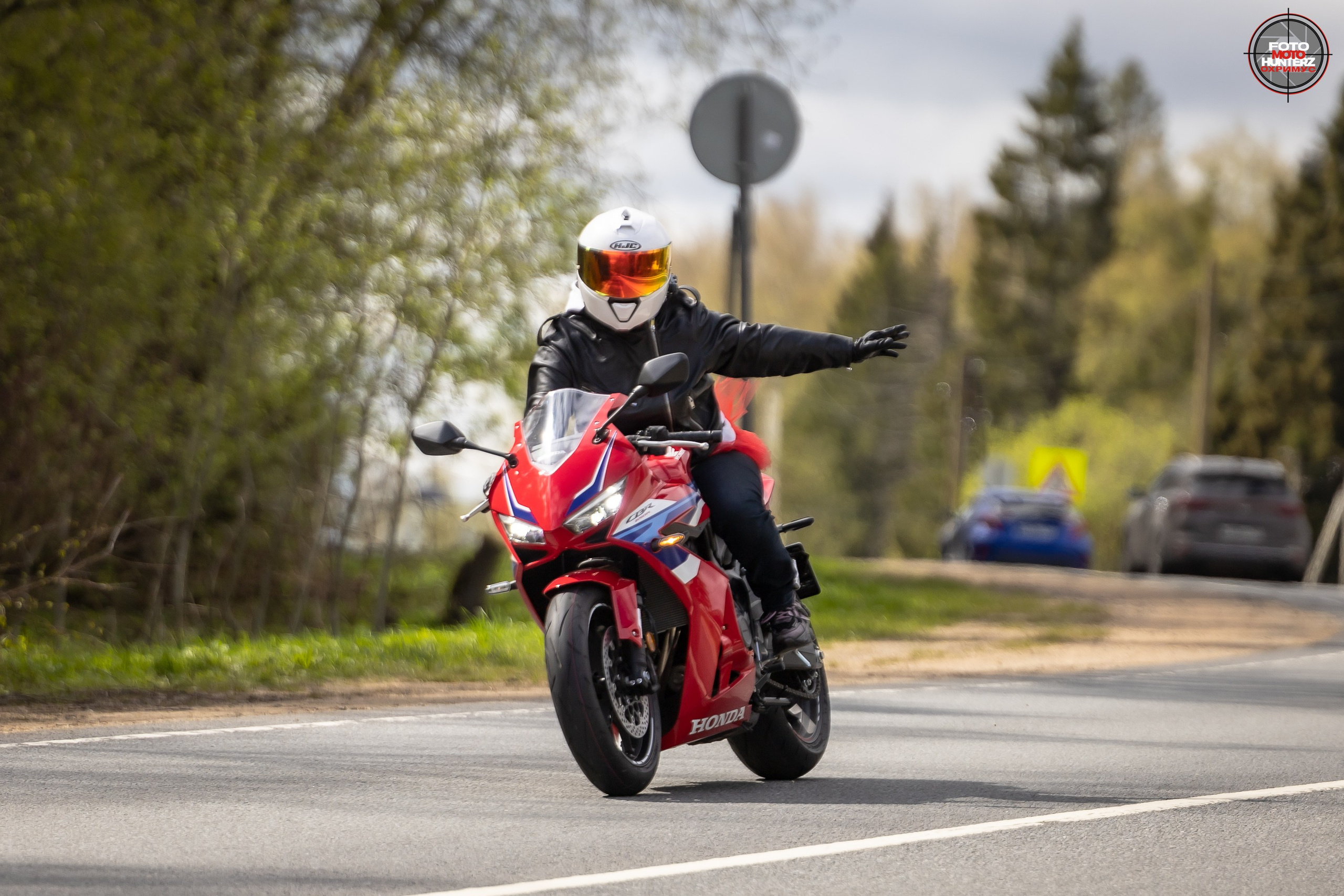 Первое Сафари в 2025 г. на Рогачевском ш. Фотограф Владимир Охрименко