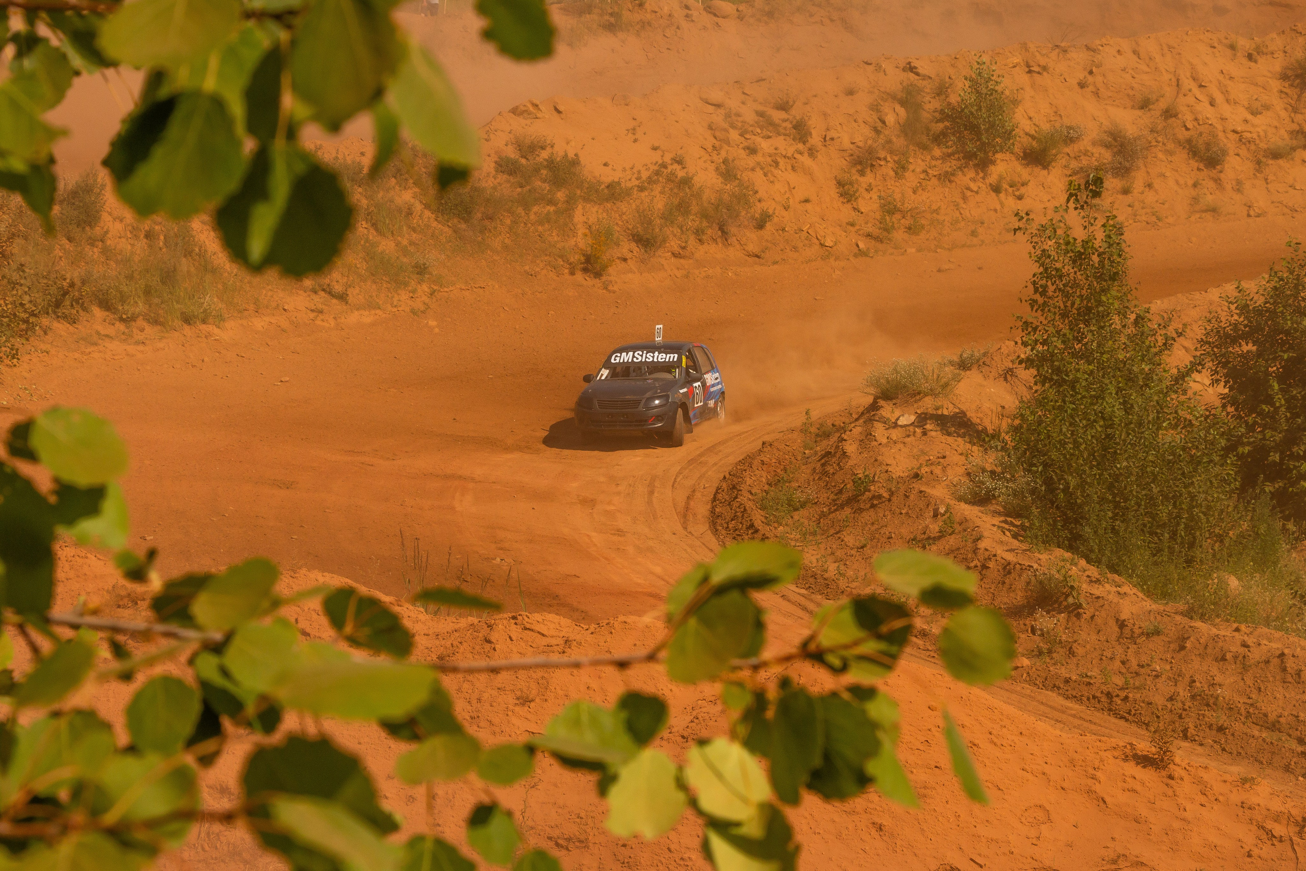 Фестиваль газуй. Олег Романов. Мастер фото по спорту