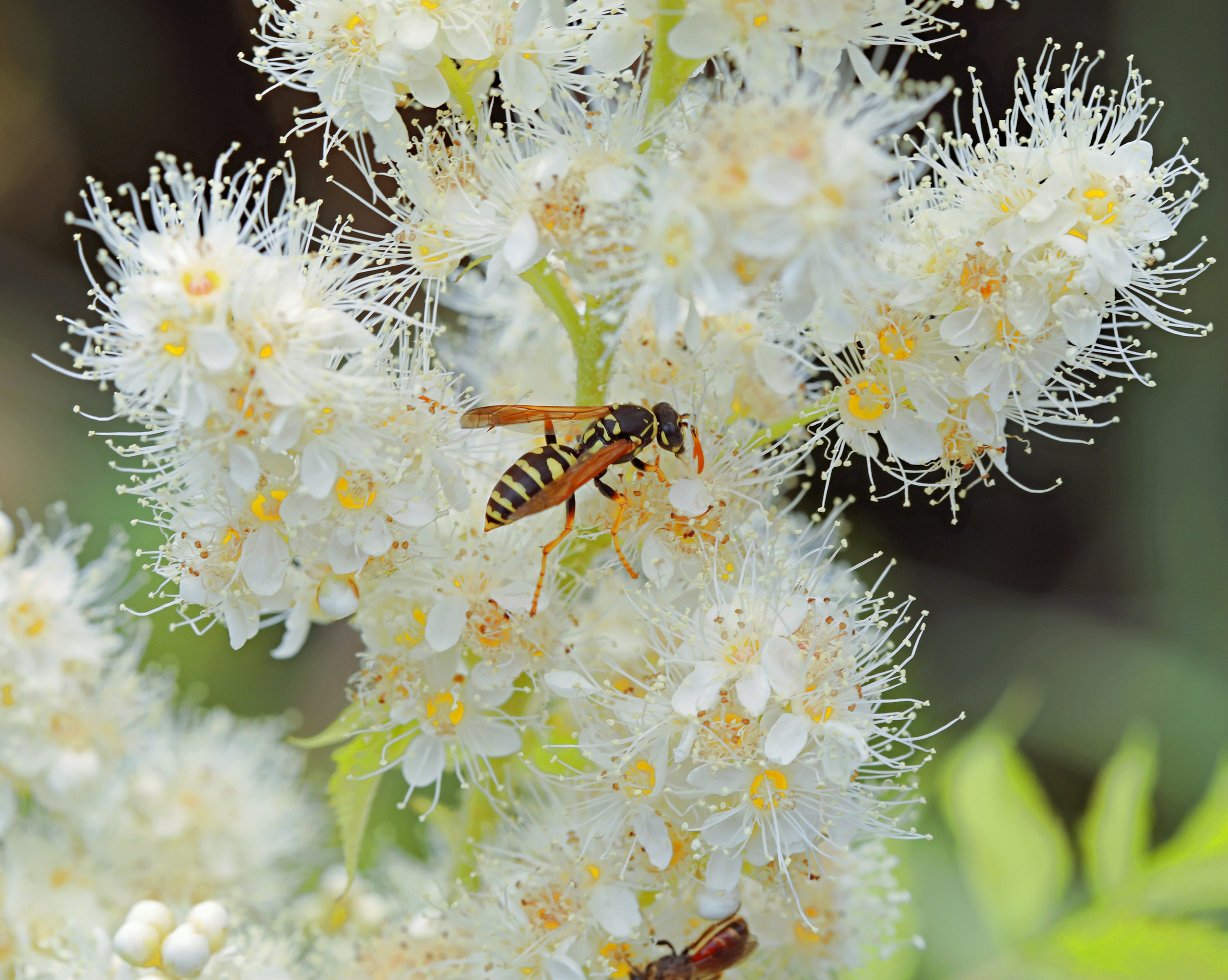 МАГАЗИН и его витрина. Фото-художник и Репортажный фотограф Николаев Александр Алексеевич