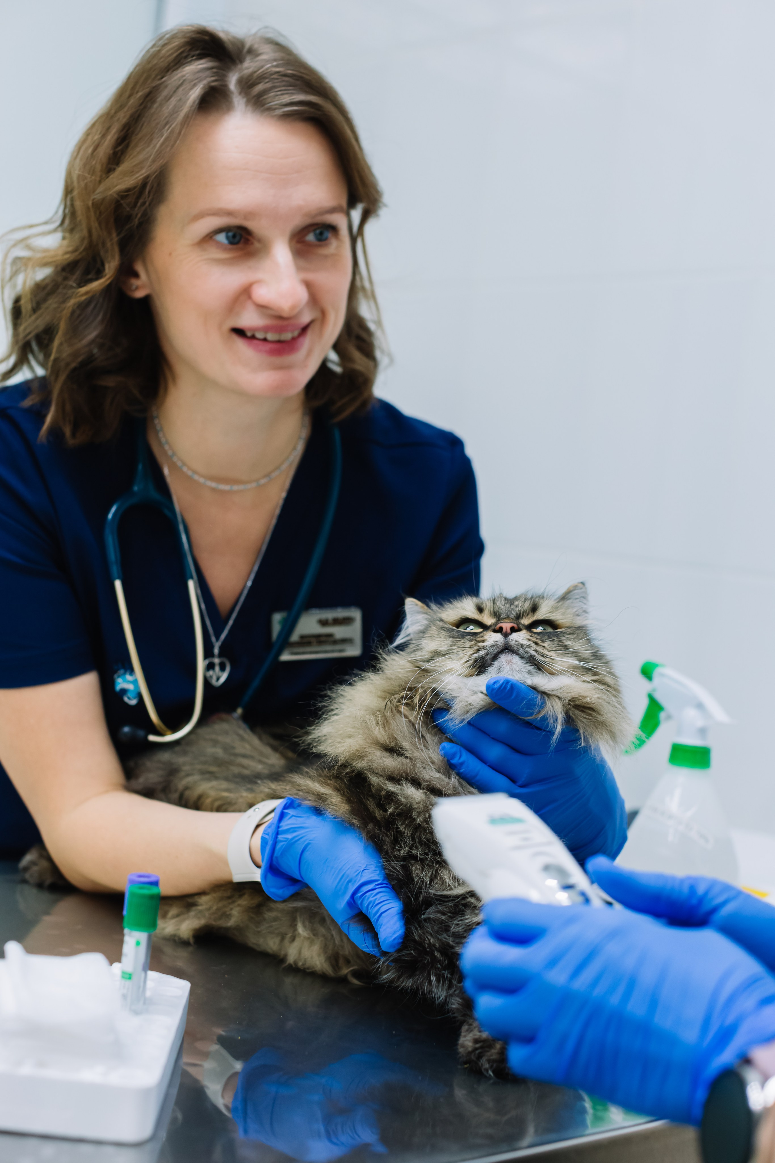алёна малахова фотограф новосибирск семейный детский домашняя фотосессия в новосибирске день рождения репортажная съёмка фотосессия с лошадьми на конюшне деревня алтай  на природе фотосессия в детском саду мама и сын предложение руки и сердца идея  помолвка фотосессия берег закат детский день рождения годик торт аниматор лофт игровая продолжение следует prodoljenie_sleduet_  корпоратив тимбилдинг первоклашка линейка  контент  бизнес портрет оперный новат франция берет весна девушка