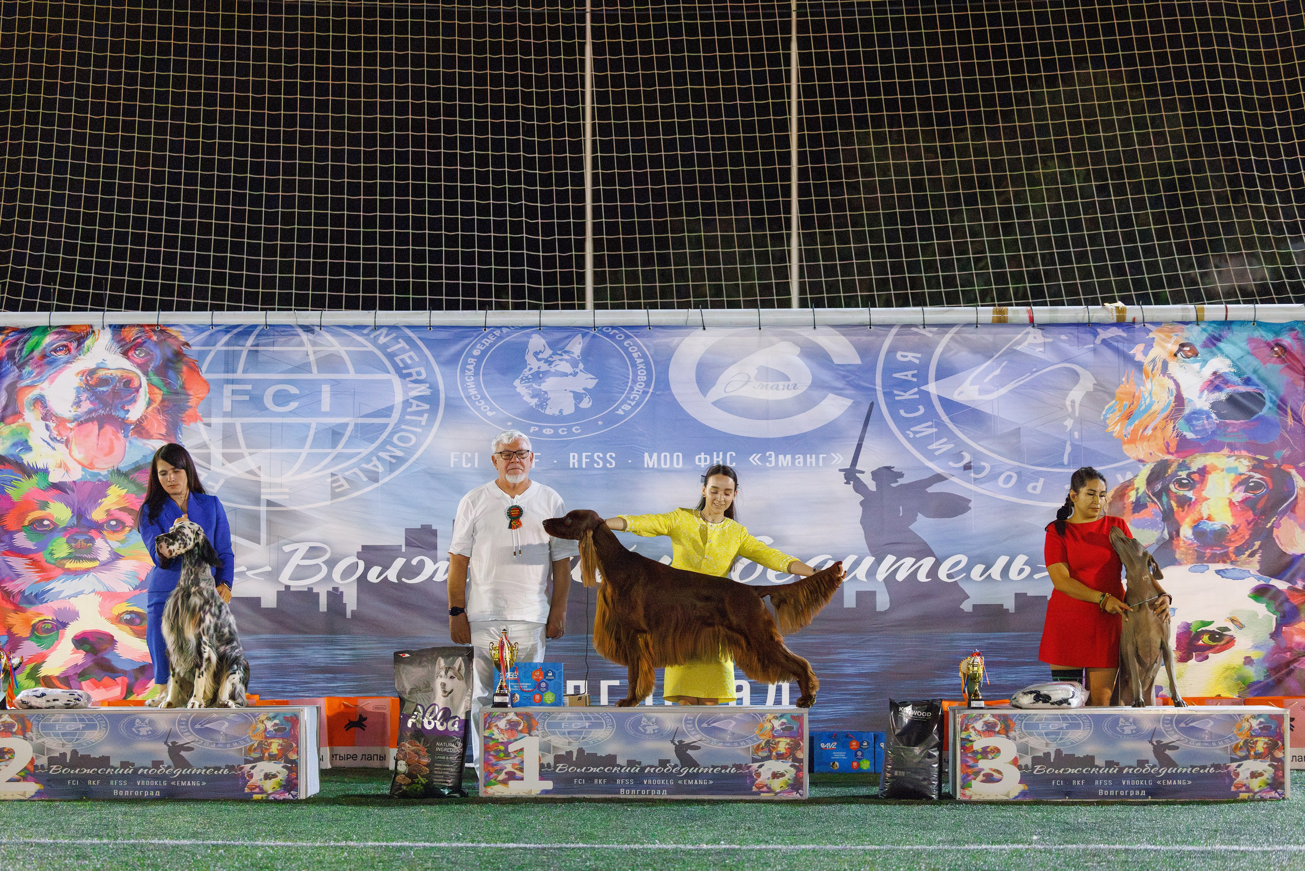 Волгоград 2-4.08.2024. Фотограф-анималист Юлия Германика