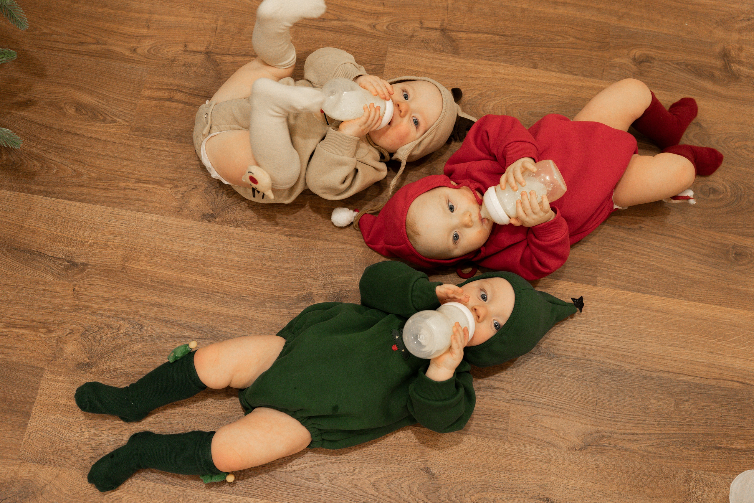 Новогодние тройняшки. Главная