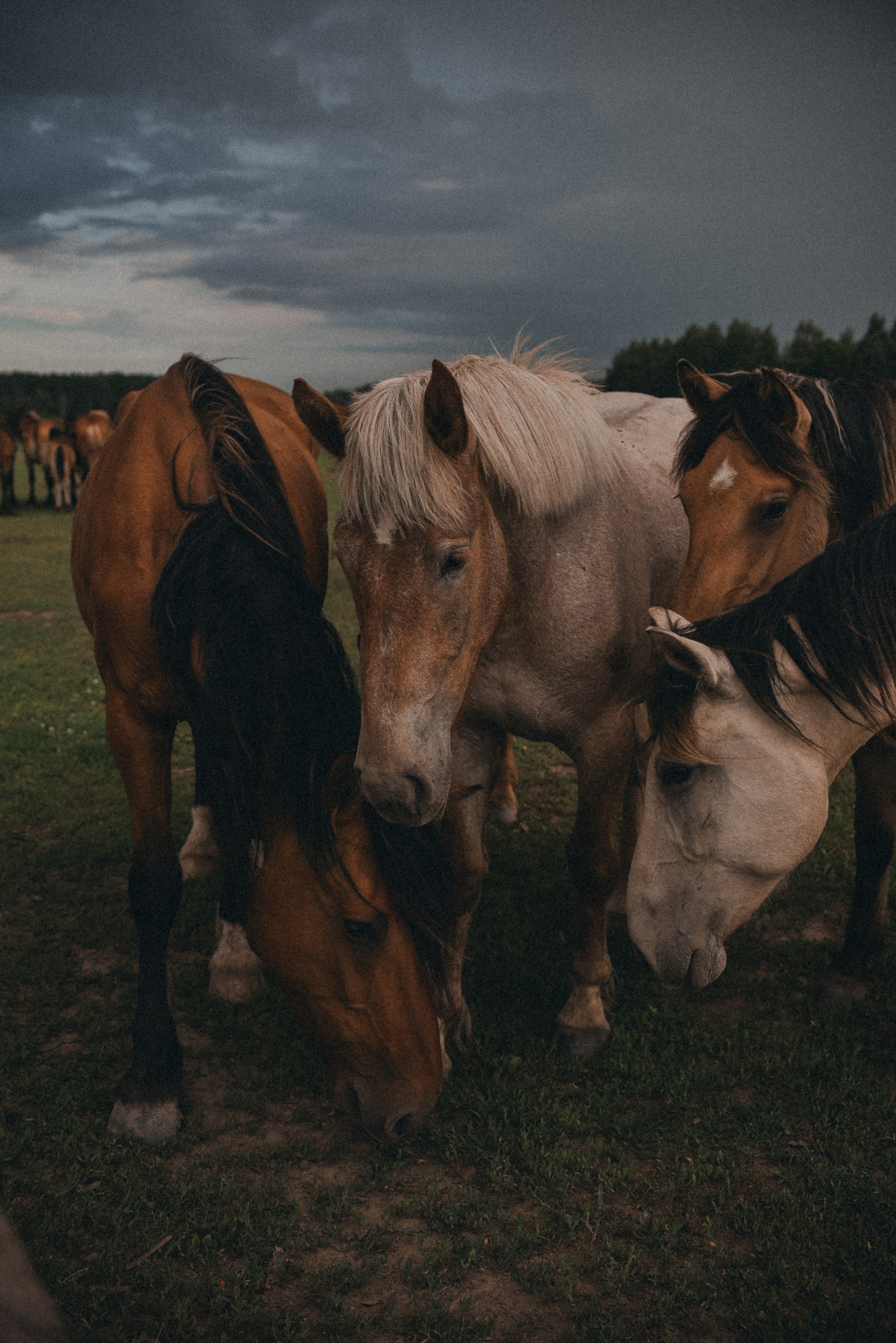 Надя. Семейный фотограф Milena feel it