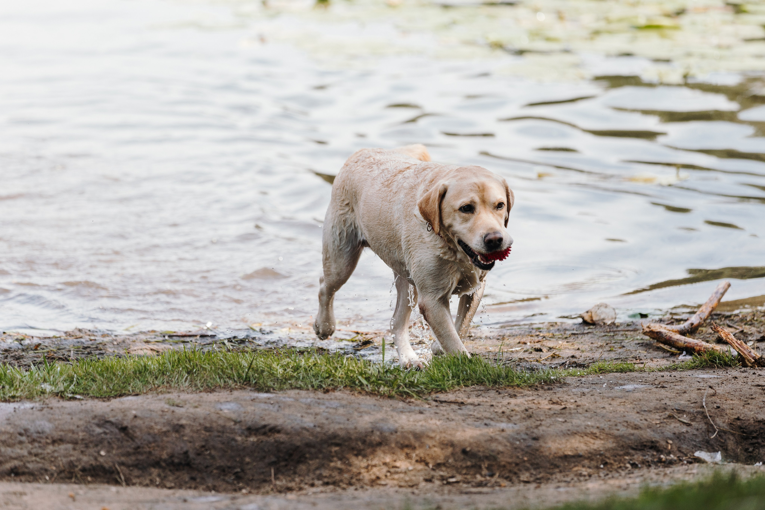 Petshop Sup day. Фотограф анималист Кристина Карпова, Москва