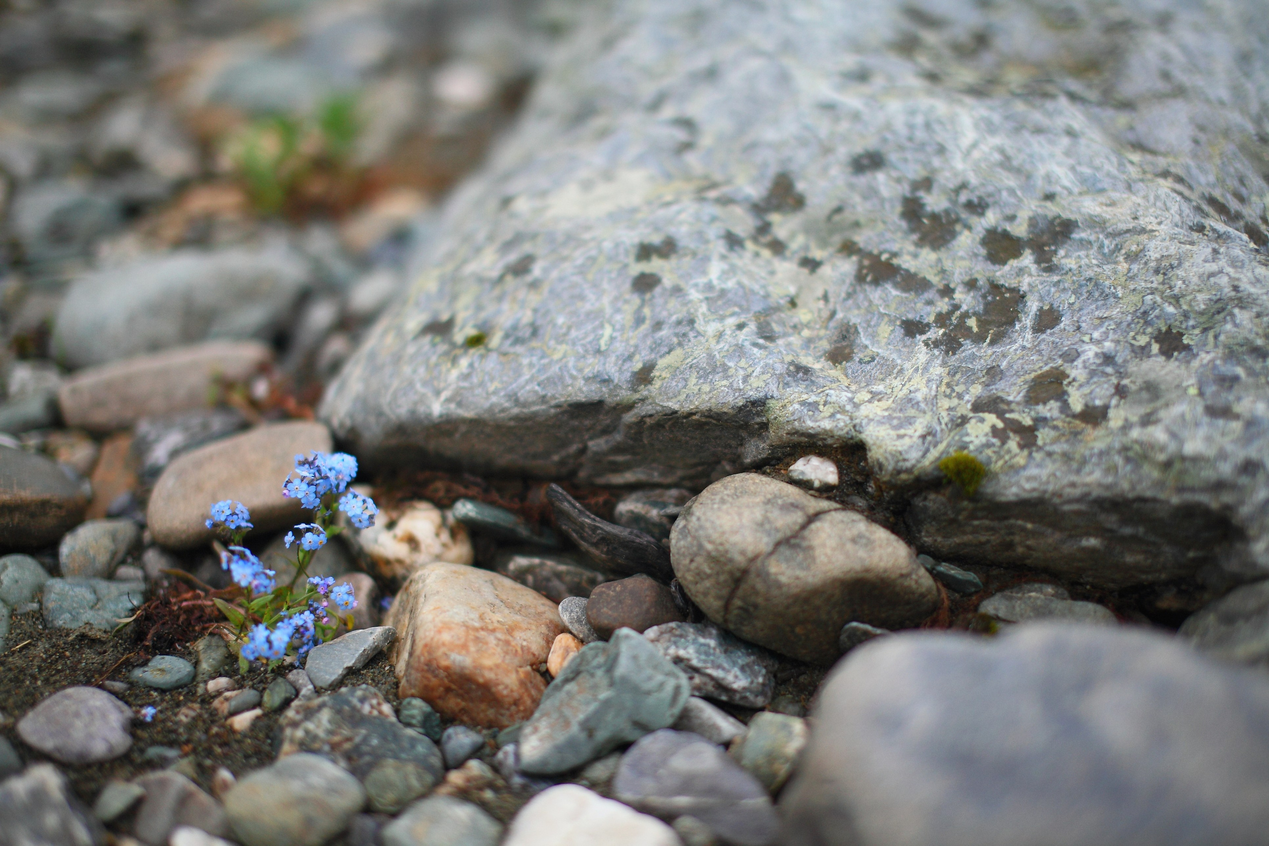 Полярный Урал. Свадебный и репортажный фотограф в Ярославле и Санкт-Петербурге Роман Микрюков