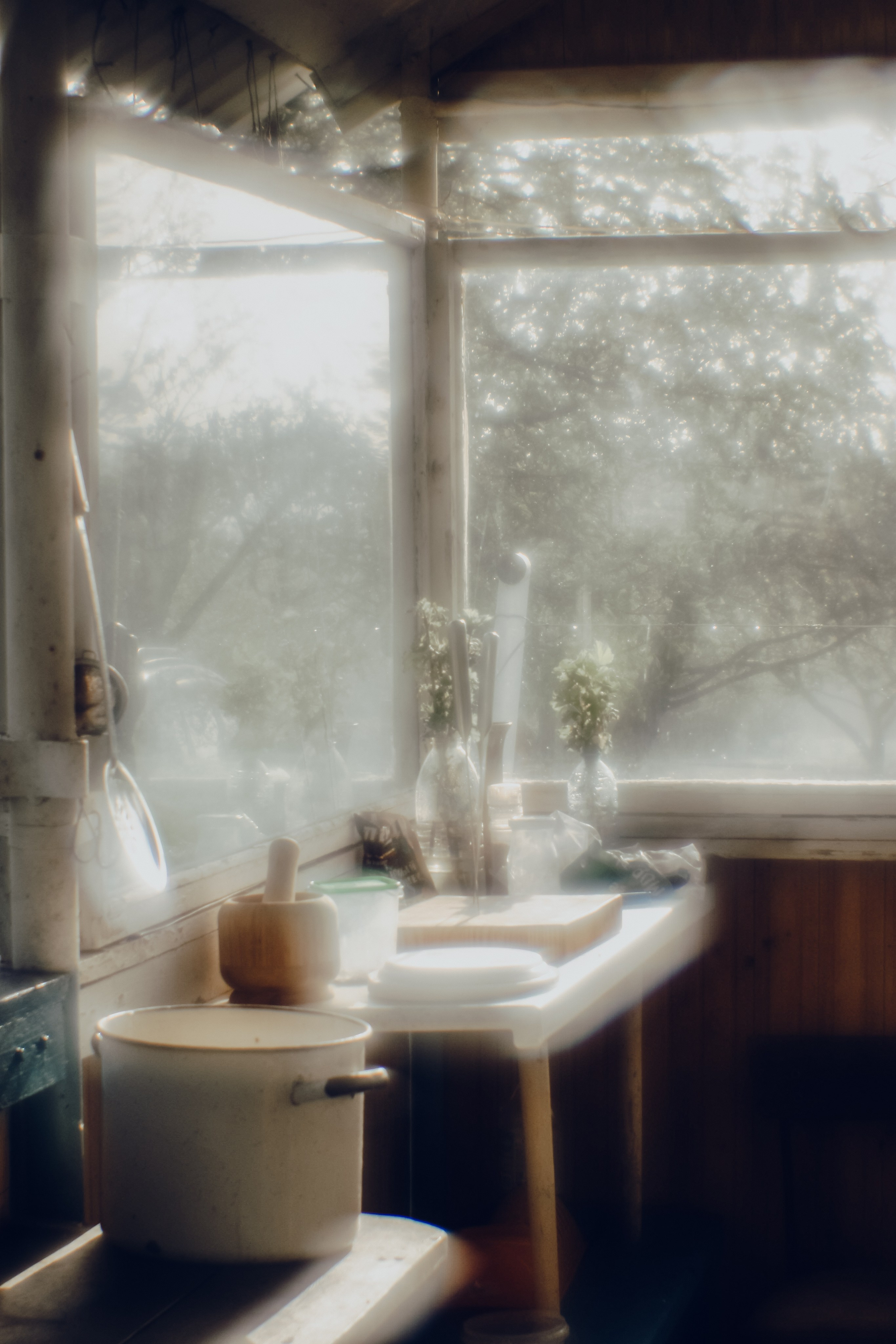 Поэзия повседневности. Семейный фотограф в Москве Марина Аргунова