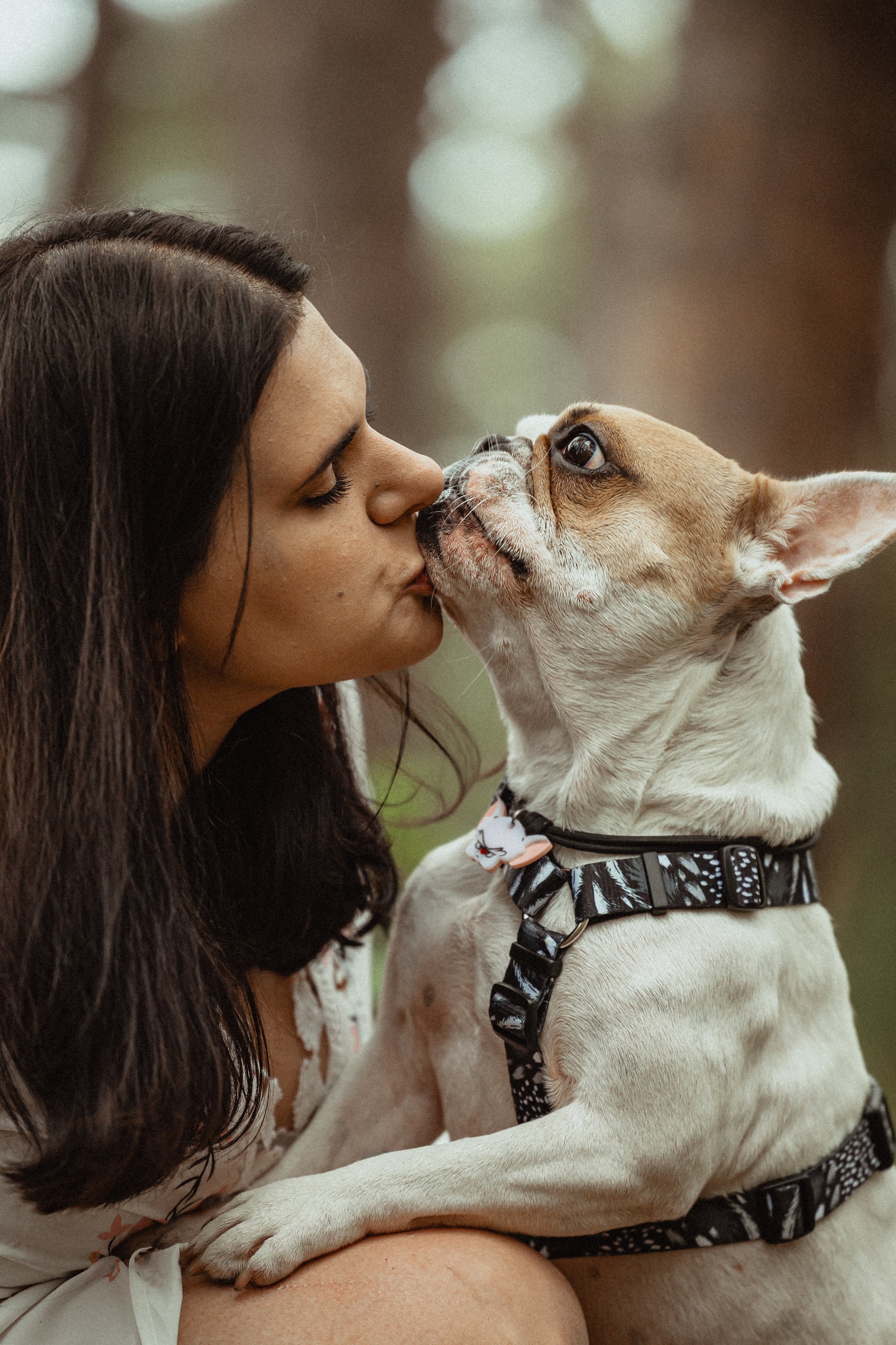 Выездной дог-тренинг от школы «Шерсть имею»
