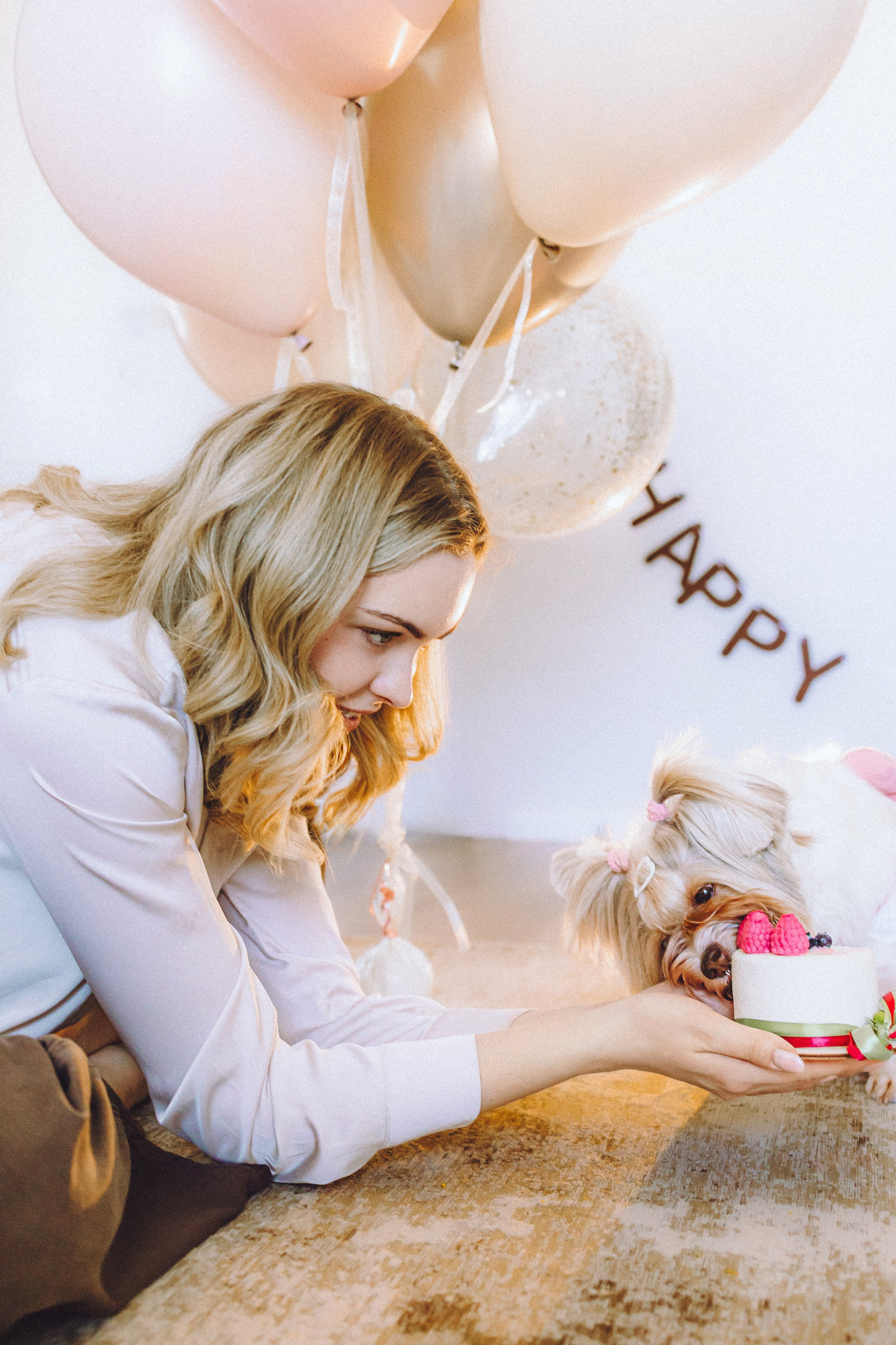 День Рождения Шу