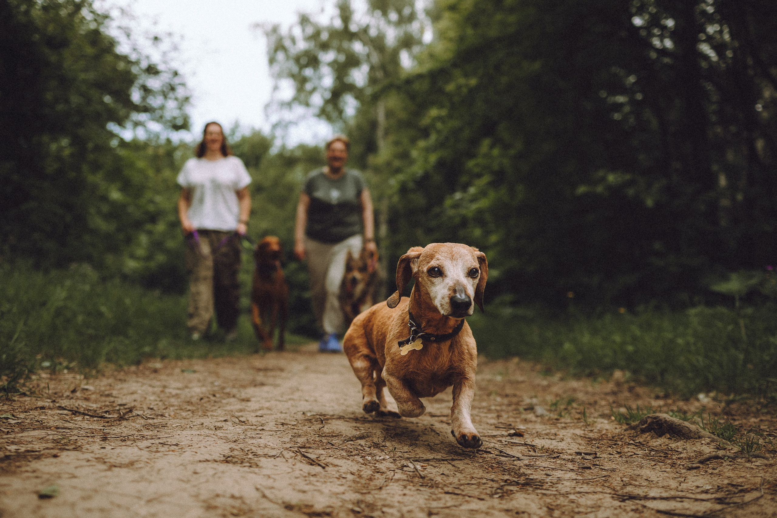 Груша, Данни, Фунтик и их семья