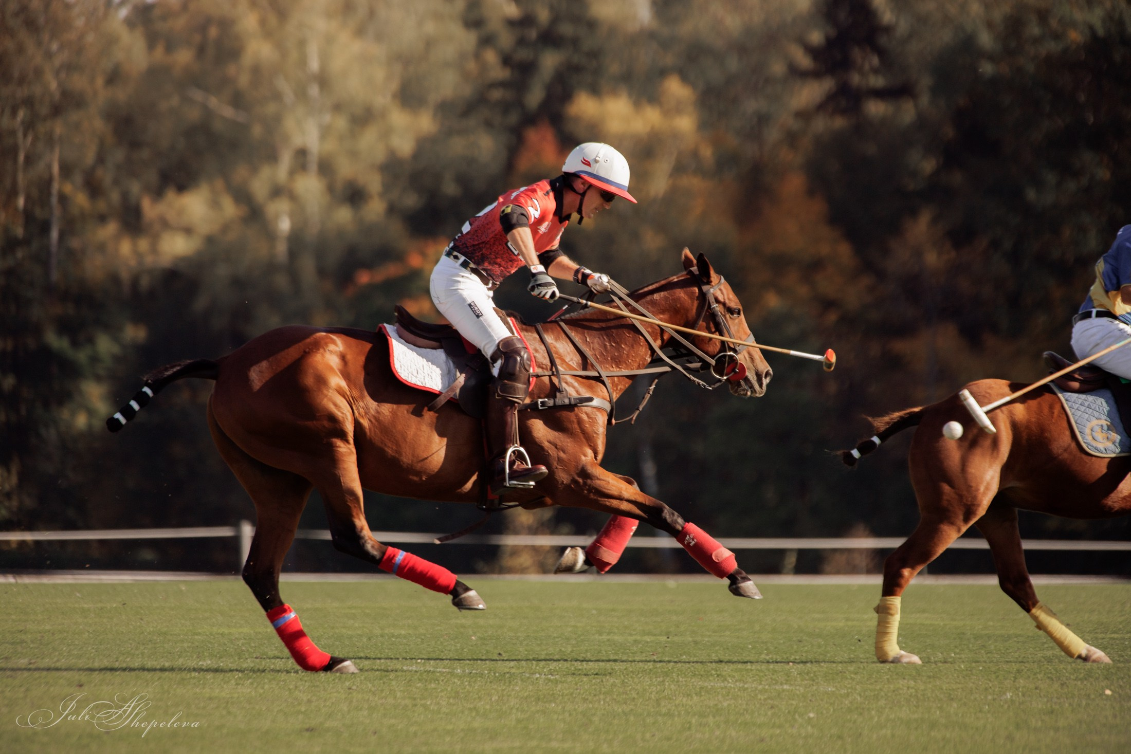 Осенний кубок по конному поло. Детская Конная фотография в Москве Юлия Шепелева
