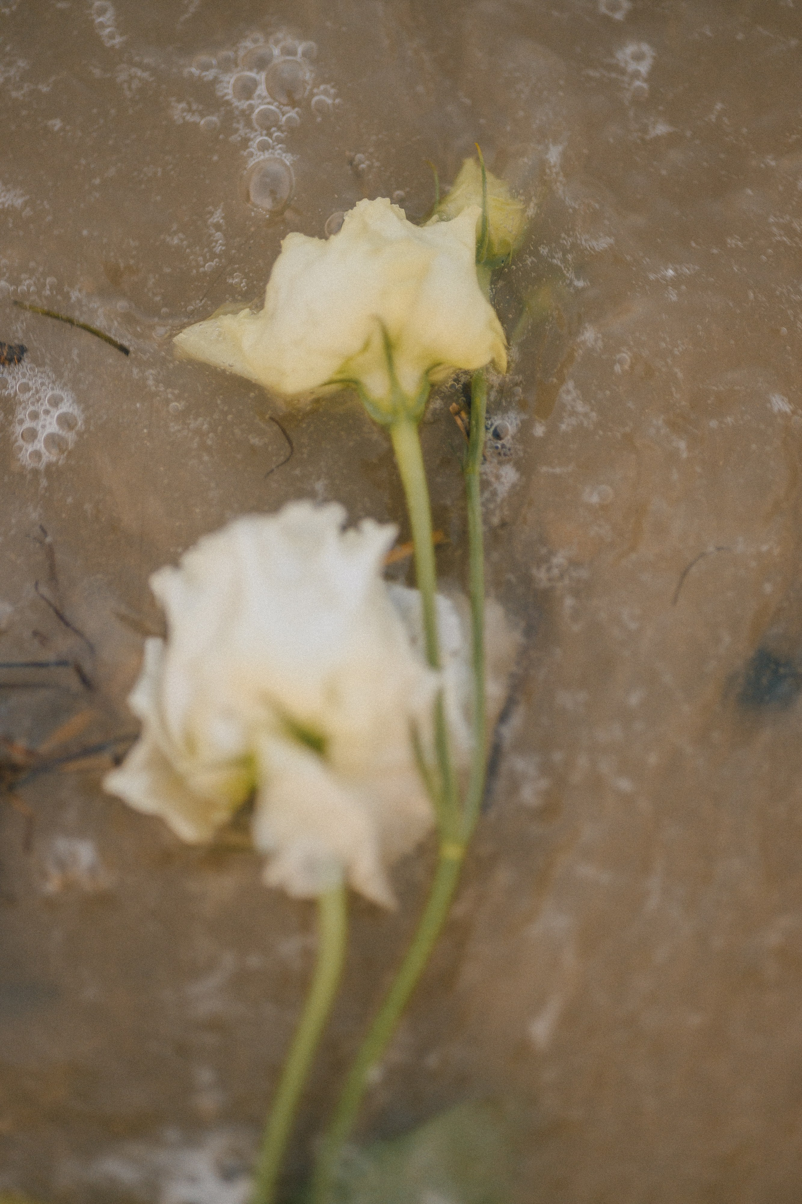 Даша. Фотограф Таганрог Любимая Надя