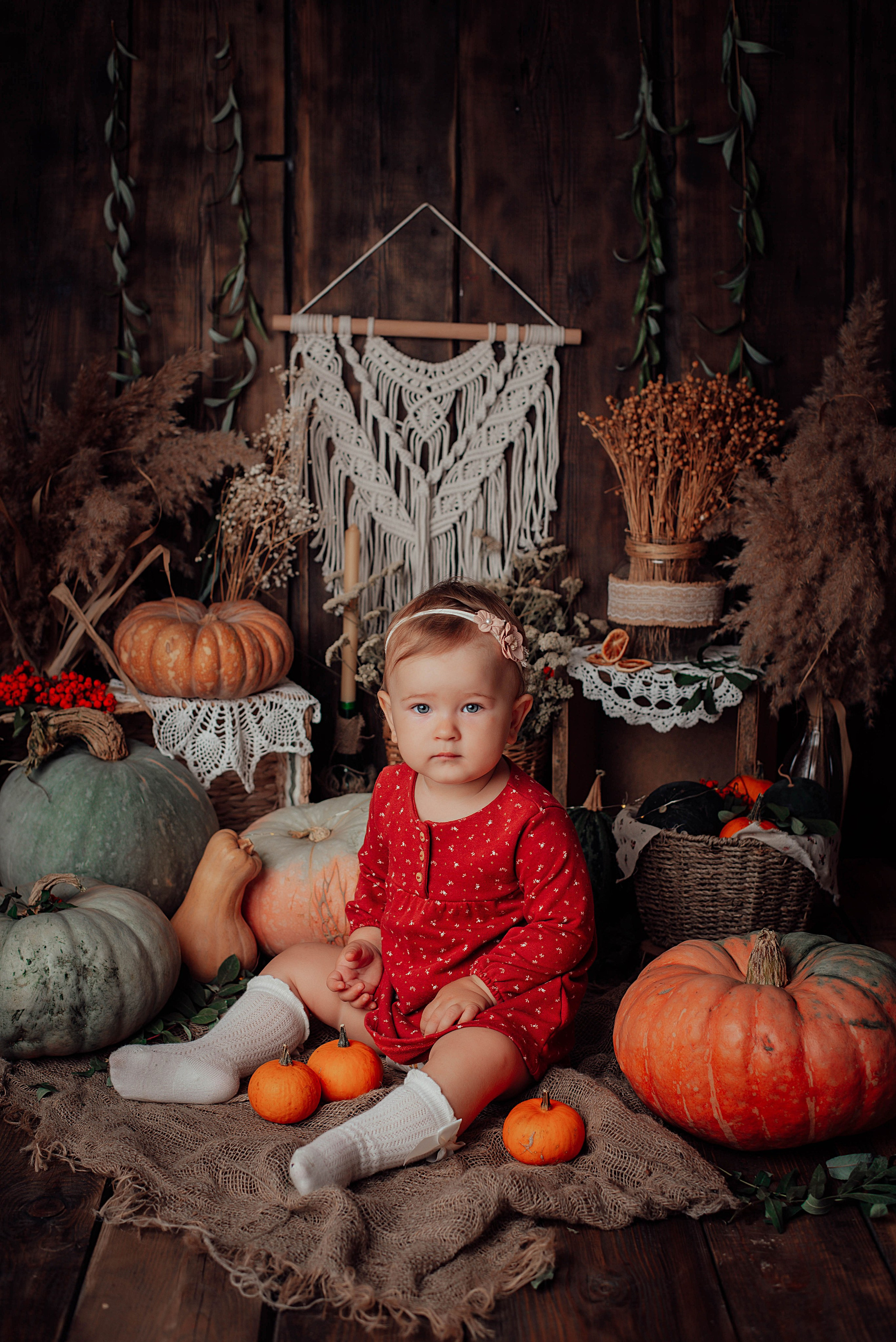 Тыквенный фотопроект. Семейный и детский фотограф новорожденных Ульяновск