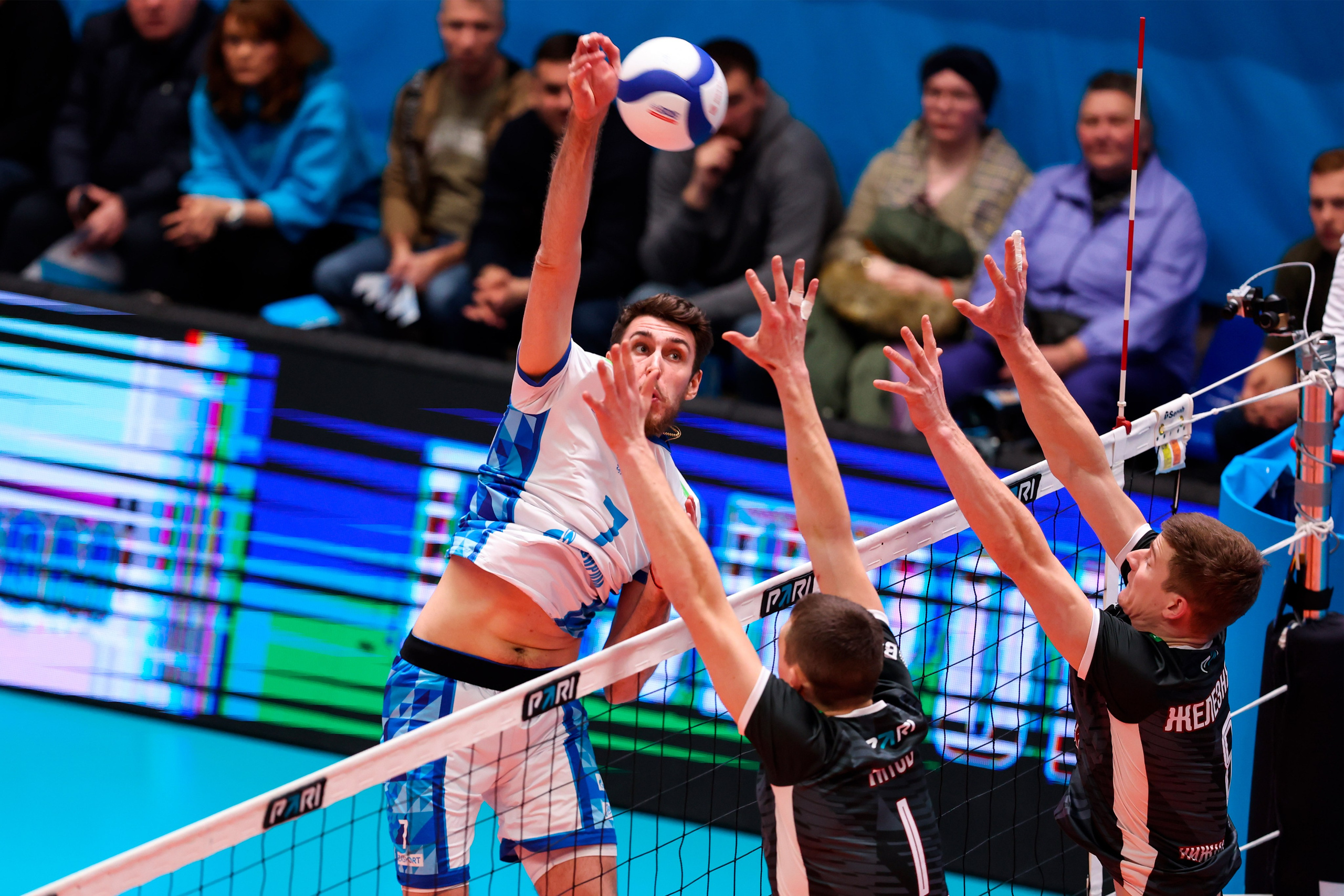 ВК Зенит — ВК АСК 15.03.2025. Спортивный и репортажный фотограф Антон Тереханов