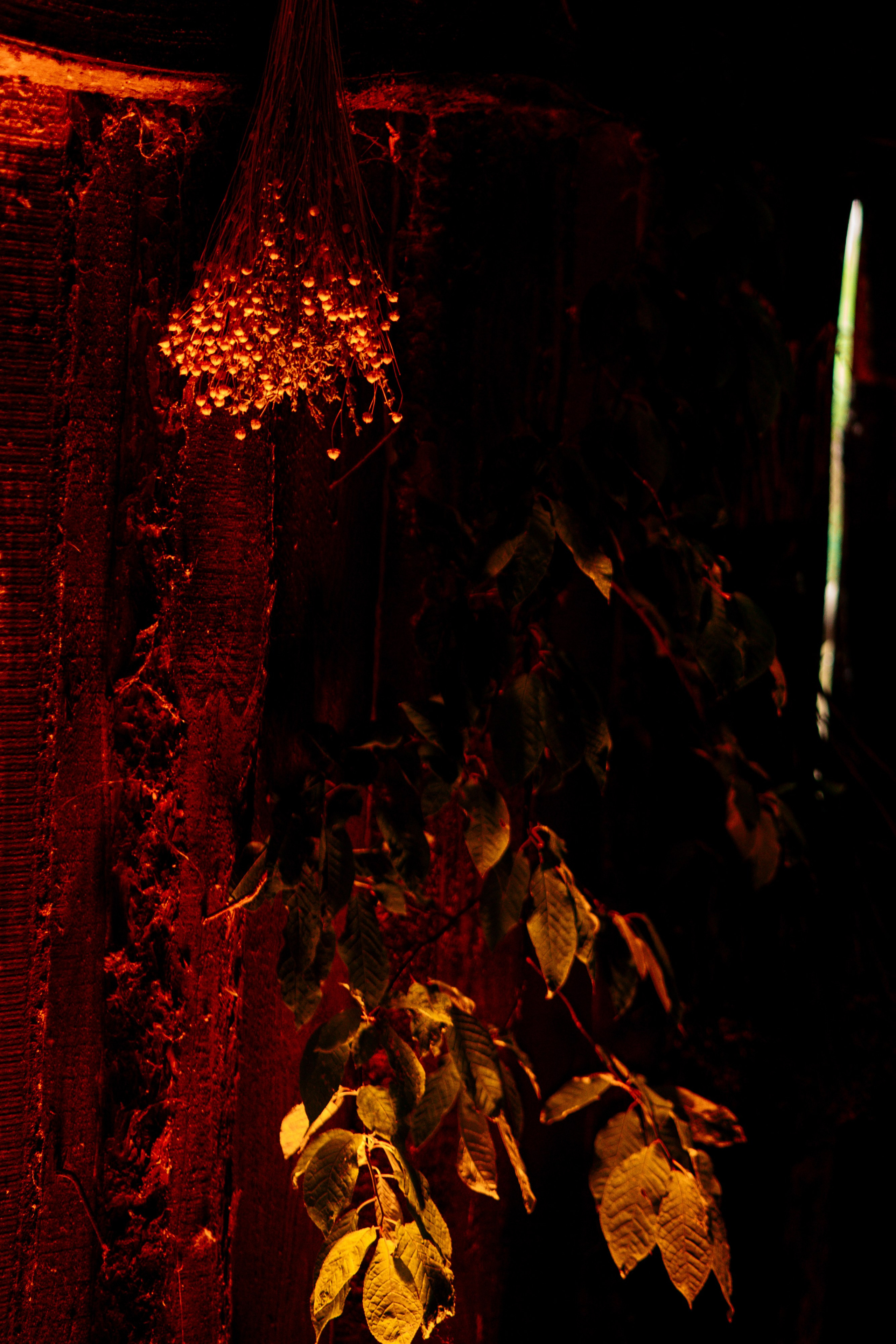 ХОЛОП -тематический праздник. Свадебный фотограф Минск РБ