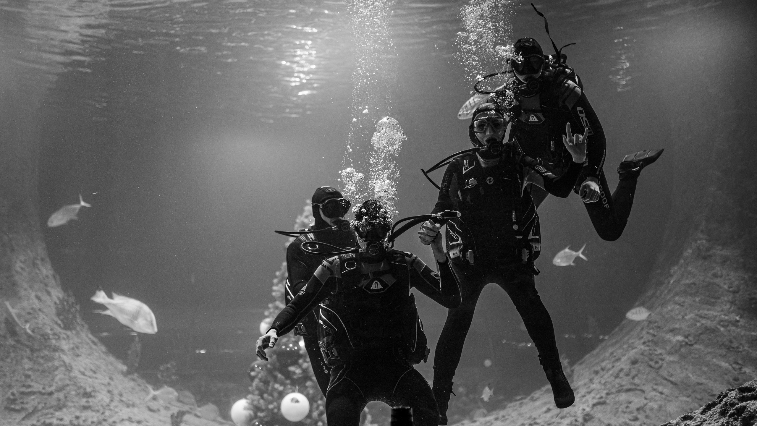 Катя и Вова океонариум. Фотограф Нижний Новгород