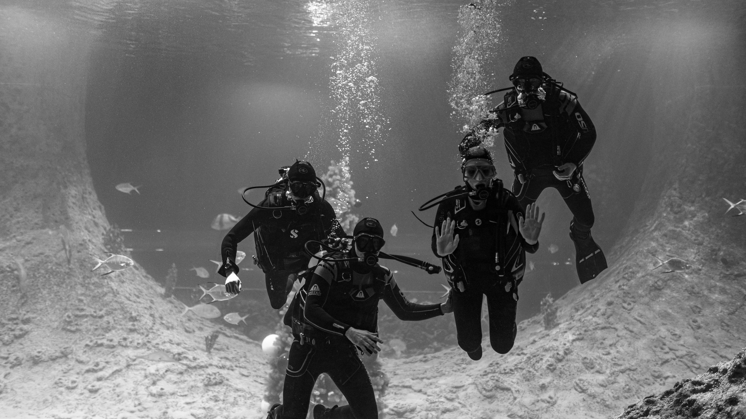Катя и Вова океонариум. Фотограф Нижний Новгород