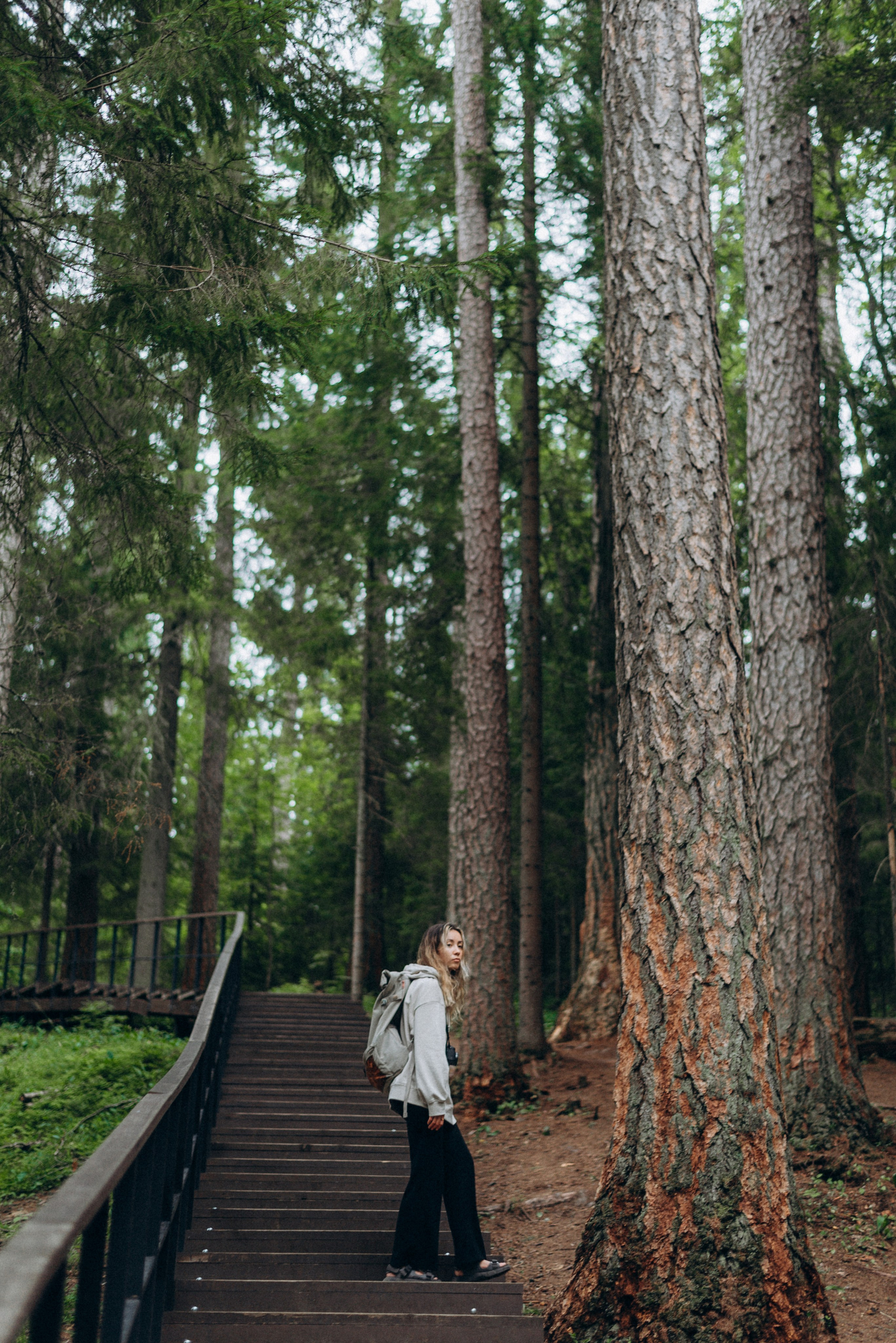 ЛИНА ЛАЗАРЕВА, Фотограф в Москве, МО и на юге России