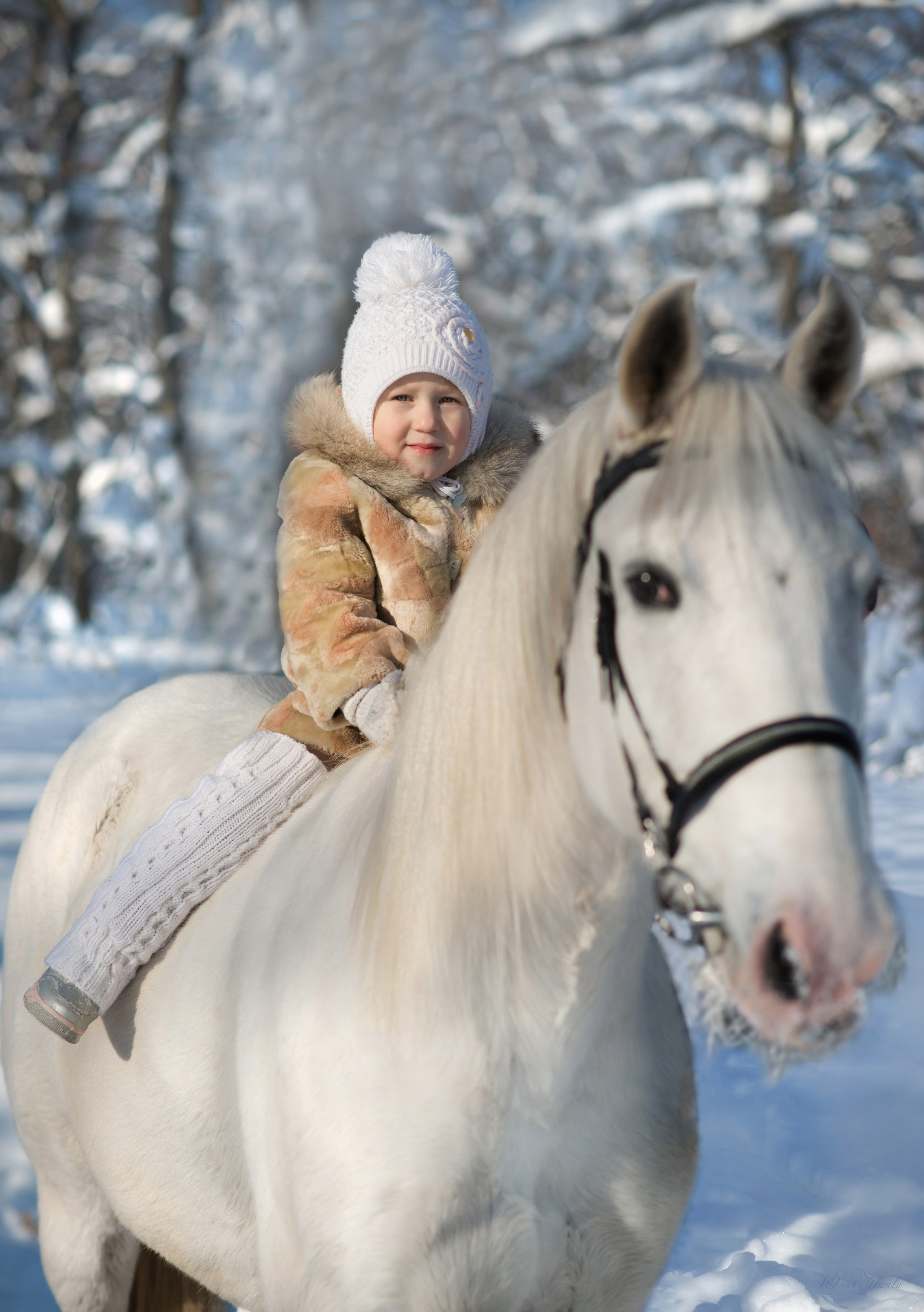 Фотодень с  Каспийцем. Конный фотограф в Саратове Юлия Иванова