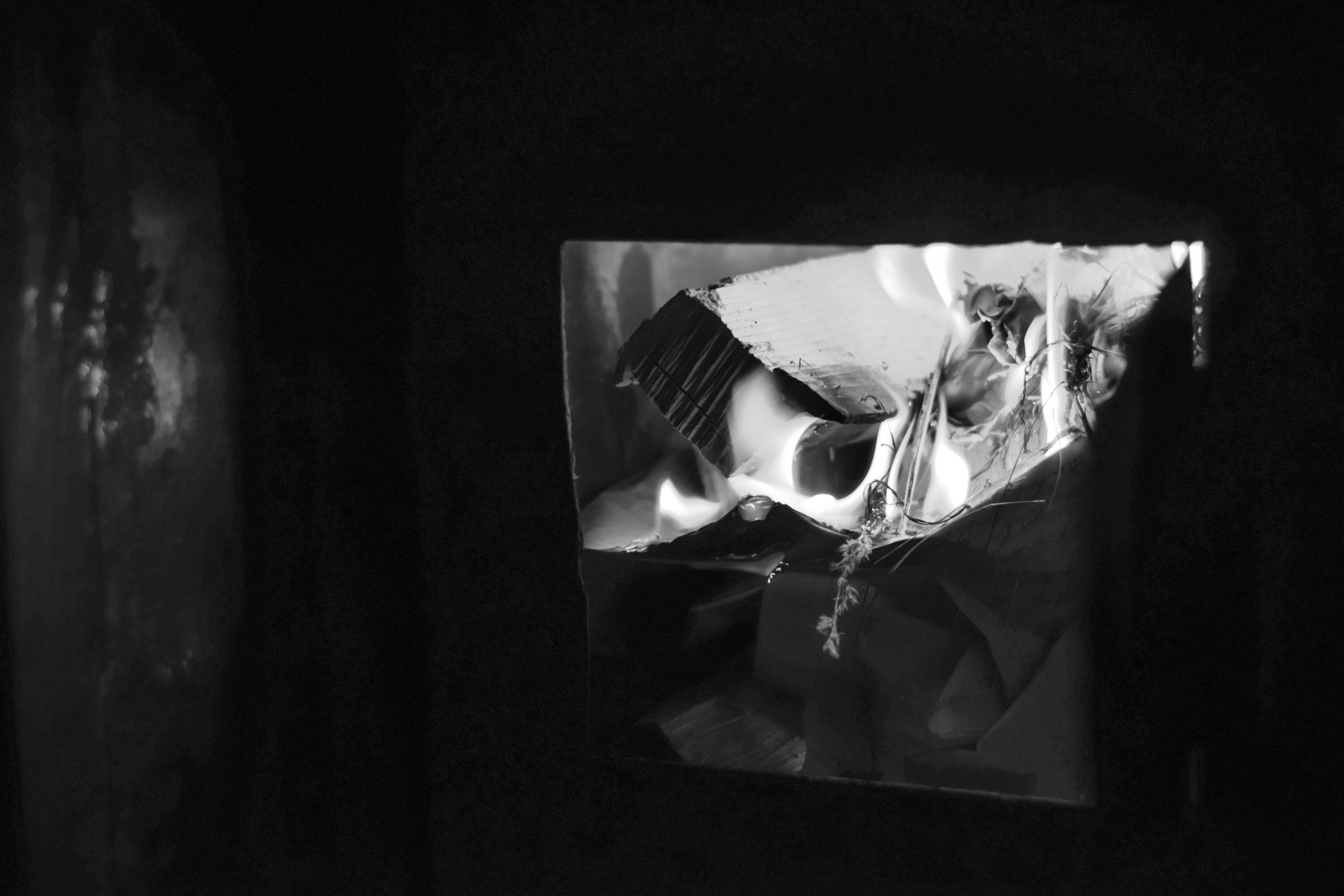 Victoria Ovchinnikova