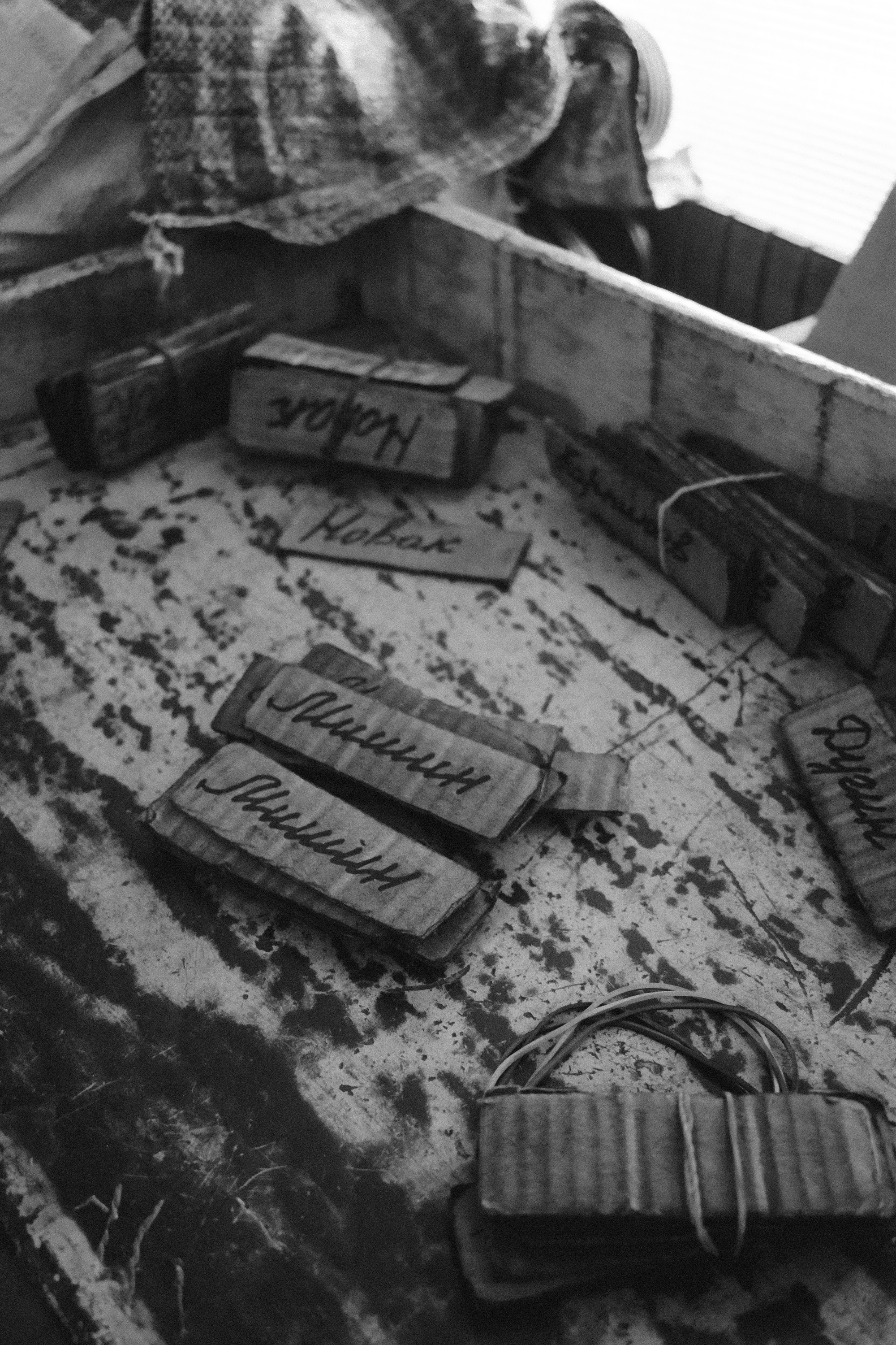 MECHANISMS. Victoria Ovchinnikova