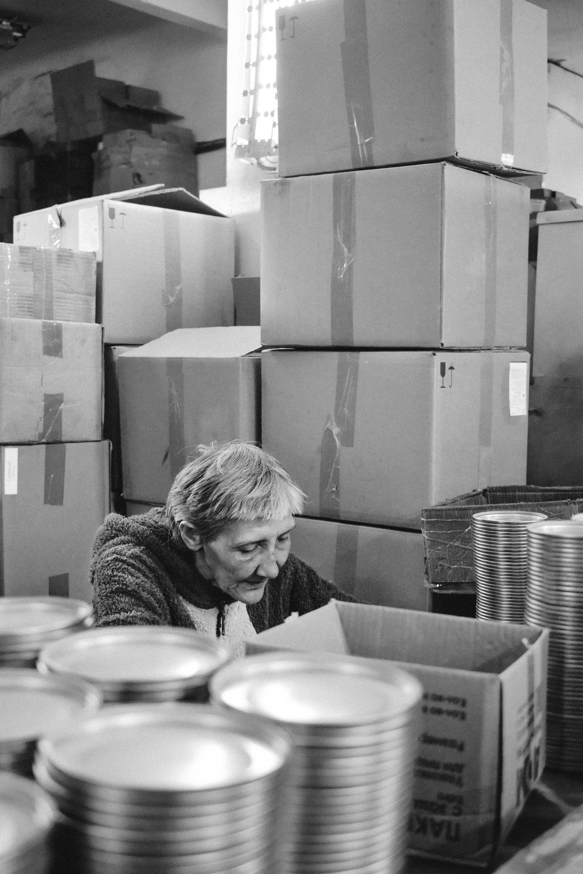 MECHANISMS. Victoria Ovchinnikova