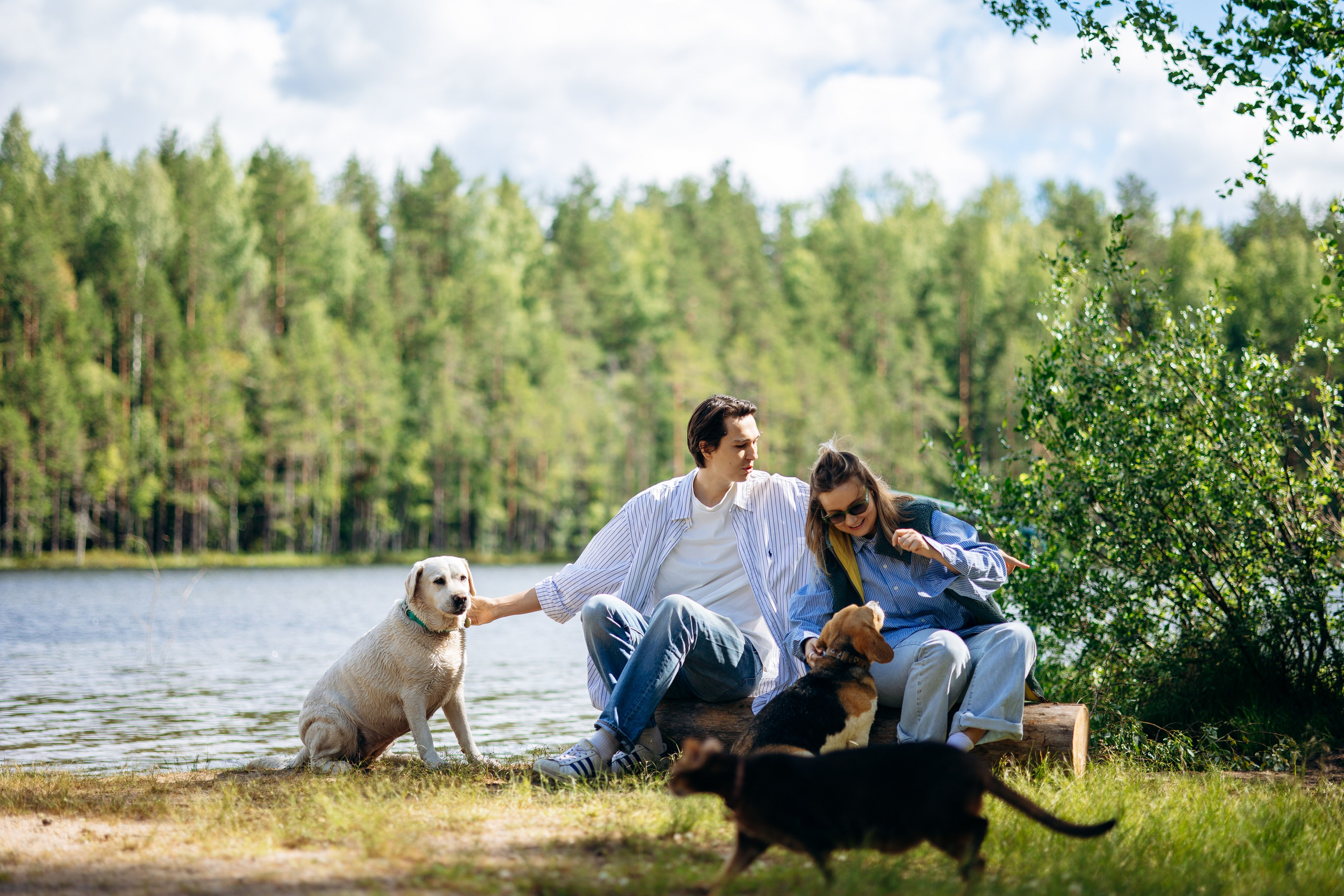 Котофеи и их семья. Фотограф — Анималист | Санкт-Петербург